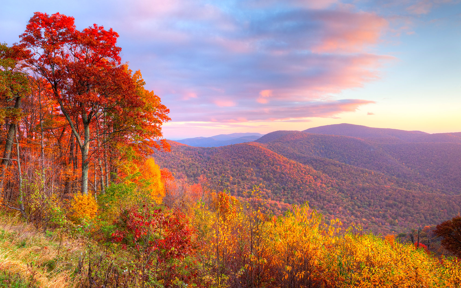 PCデスクトップに風景, 木, 秋, 山, 森, 地球画像を無料でダウンロード