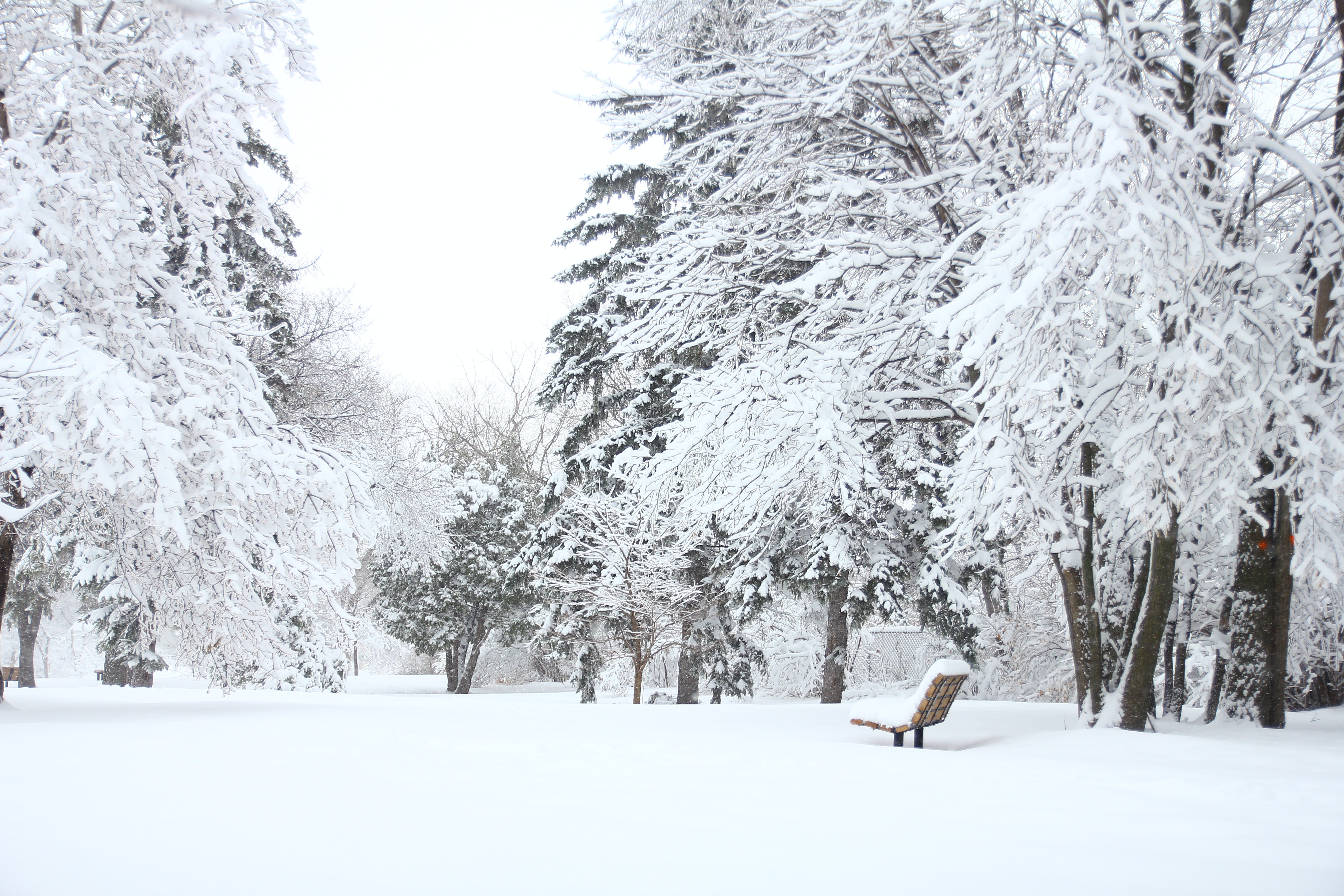 Скачать обои бесплатно Зима, Снег, Парк, Скамья, Сделано Человеком картинка на рабочий стол ПК