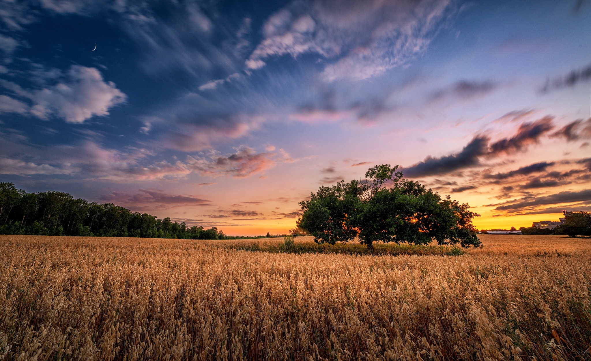 Free download wallpaper Nature, Trees, Sunset, Sky, Summer, Tree, Earth, Field on your PC desktop