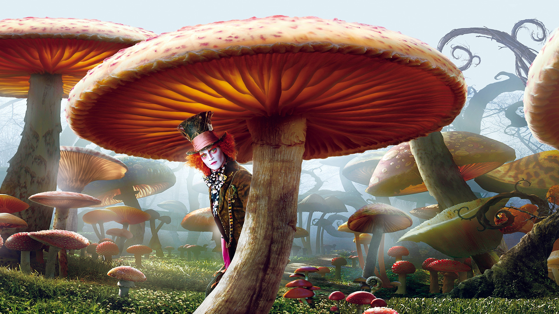 Download mobile wallpaper Fantasy, Johnny Depp, Mushroom, Movie, Alice In Wonderland (2010), Mad Hatter for free.