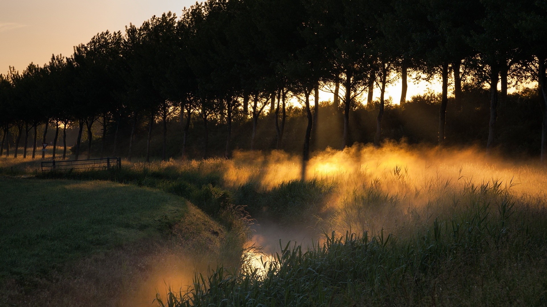 Descarga gratuita de fondo de pantalla para móvil de Niebla, Tierra/naturaleza.