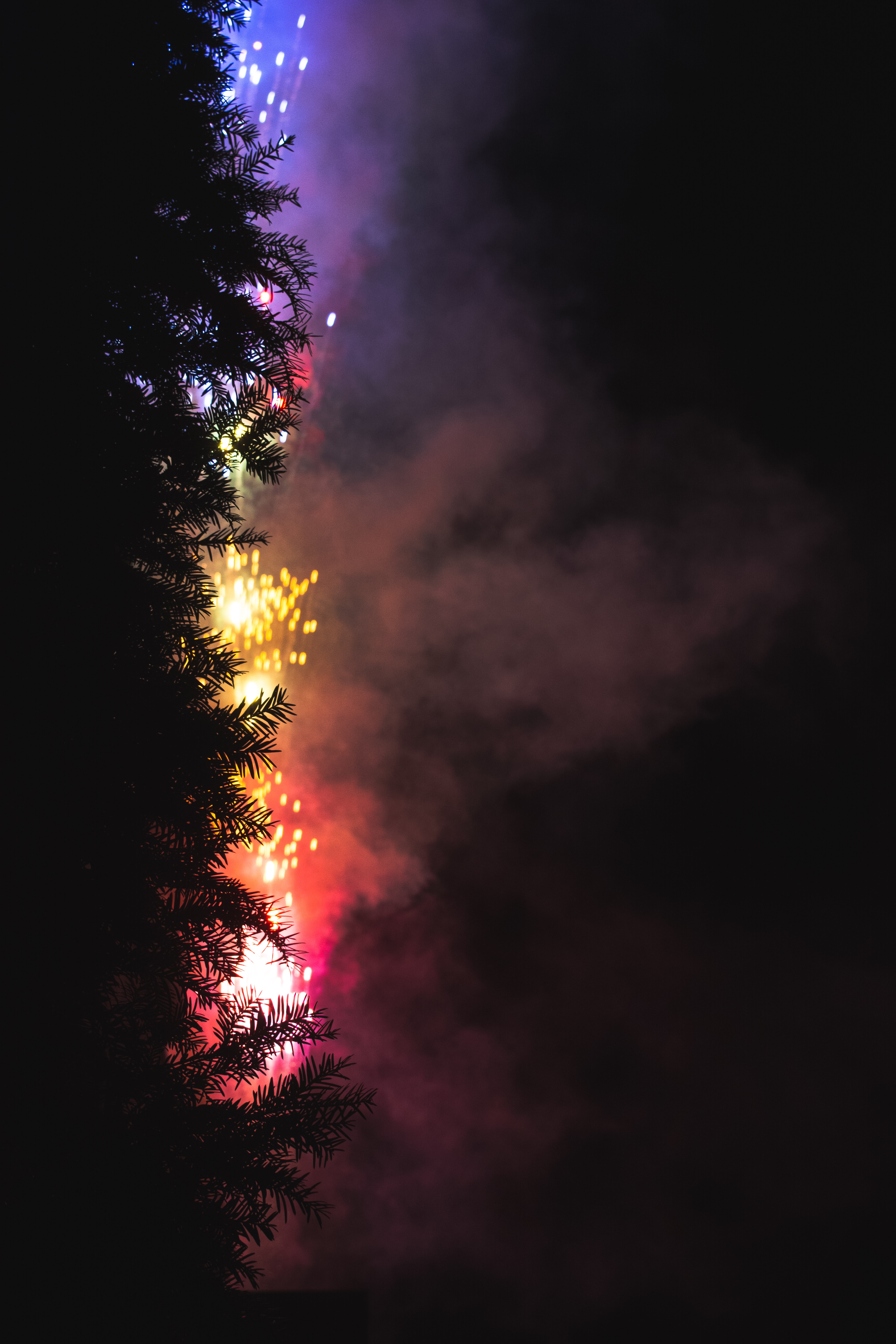 Free download wallpaper Dark, Tree, Firework, Night, Salute, Wood, Fireworks on your PC desktop