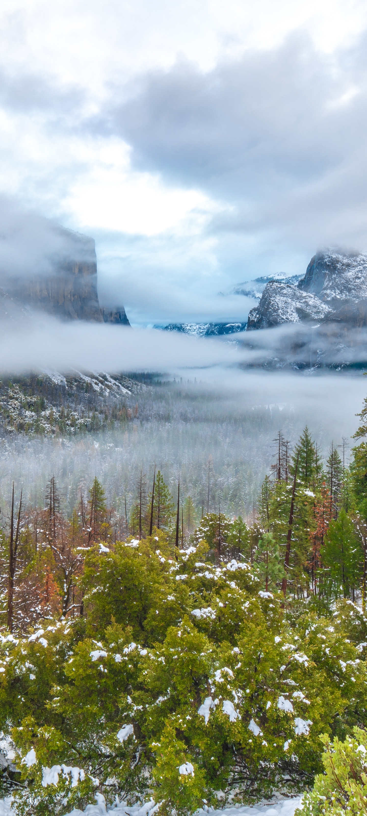 Téléchargez des papiers peints mobile Paysage, Parc National, Parc National De Yosemite, Terre/nature gratuitement.
