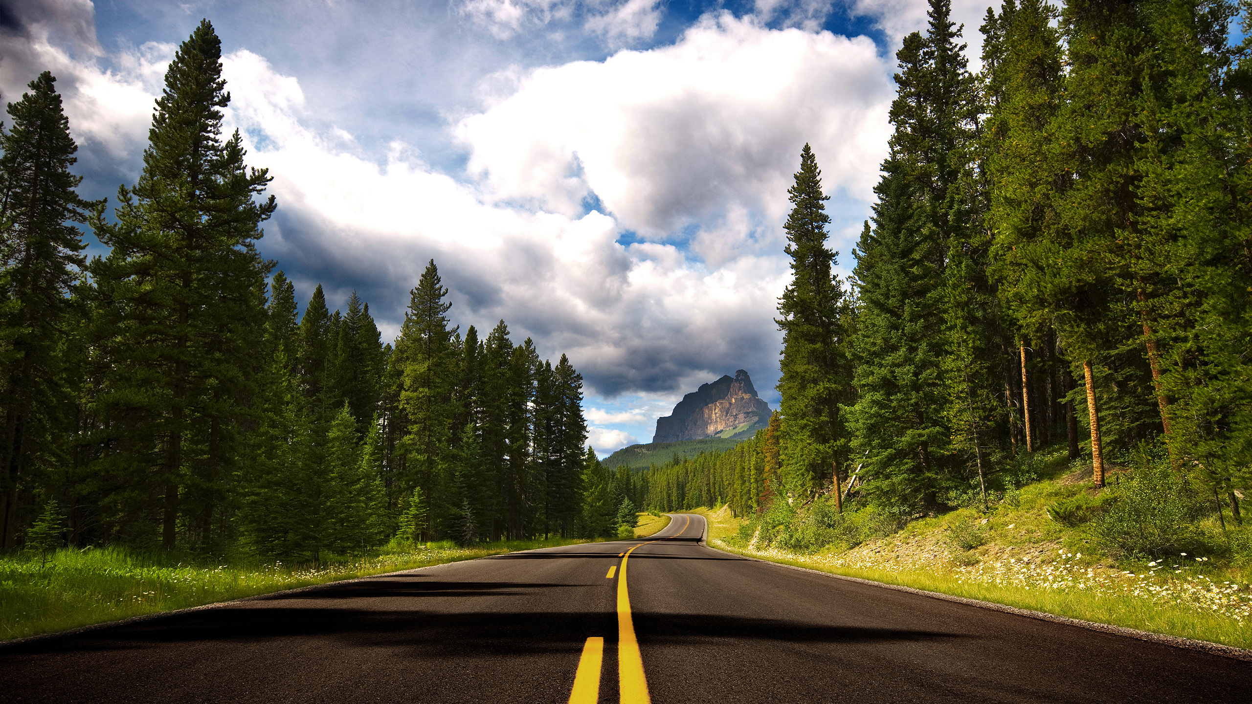 Download mobile wallpaper Landscape, Nature, Road, Forest, Tree, Cloud, Man Made for free.