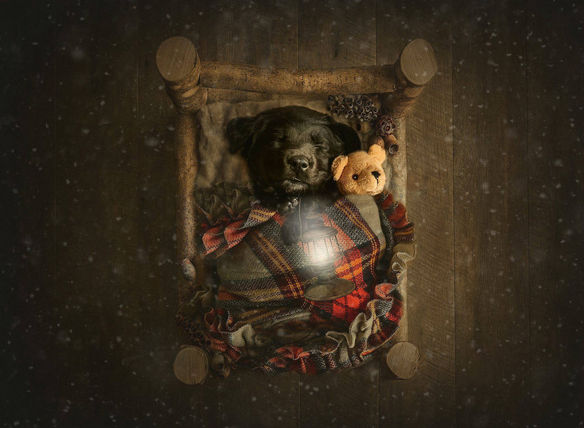 Handy-Wallpaper Tiere, Hunde, Teddybär, Hund, Süß, Welpen, Schlafen, Tierbaby kostenlos herunterladen.