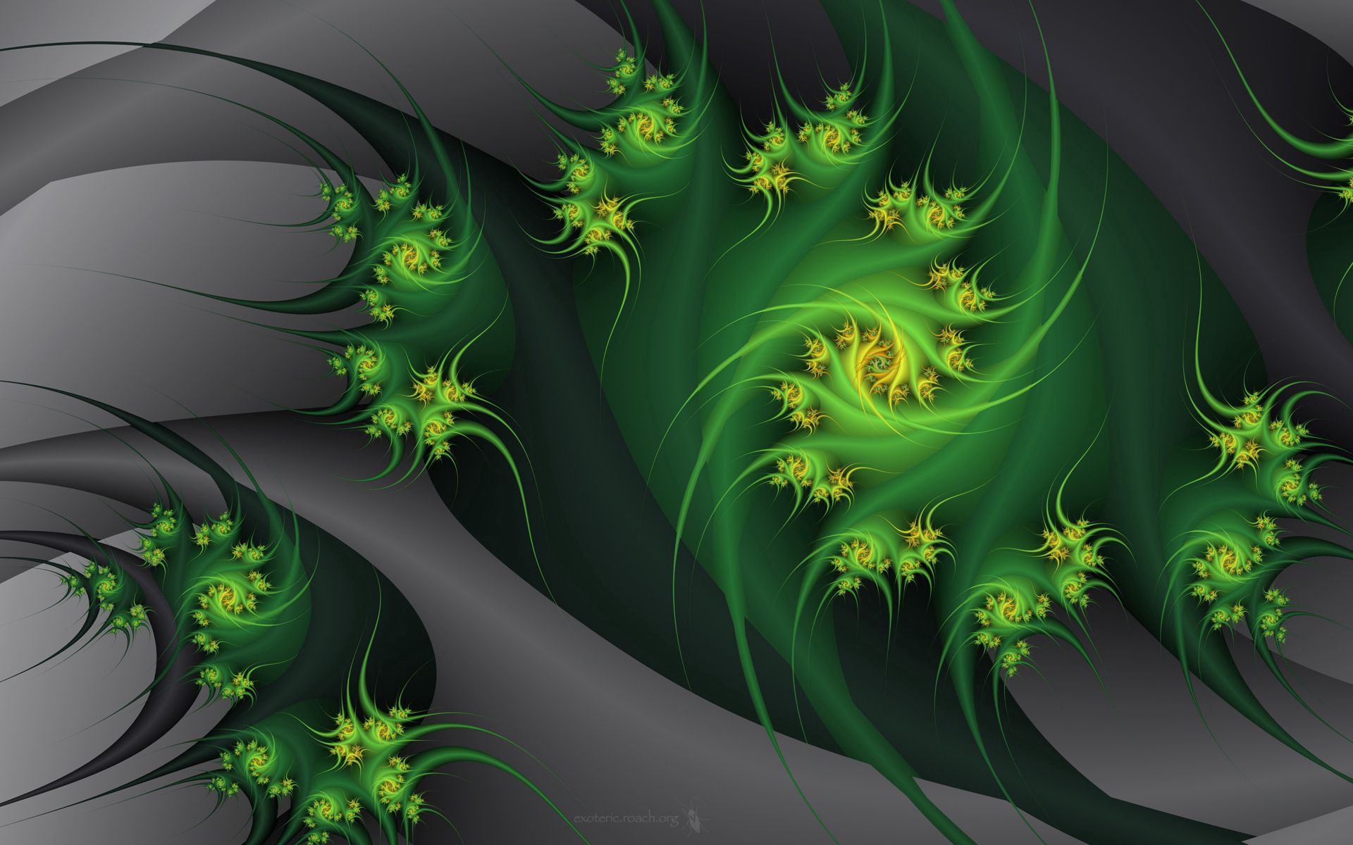Free download wallpaper Abstract, Plant, Flowers, Grey, Embrace, Fractal on your PC desktop
