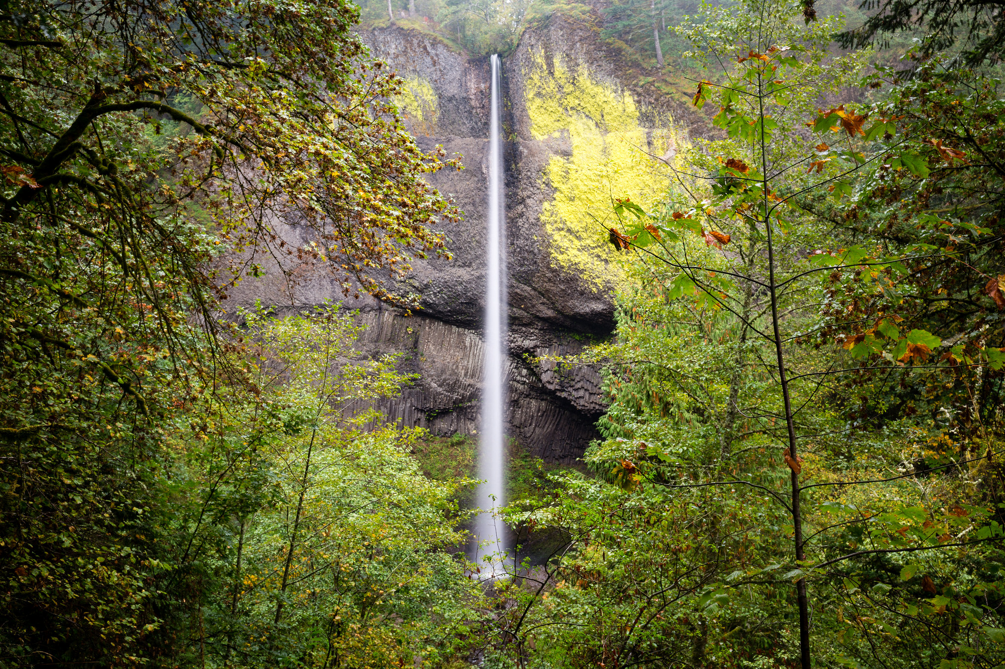 Descarga gratis la imagen Naturaleza, Cascadas, Cascada, Árbol, Acantilado, Tierra/naturaleza en el escritorio de tu PC