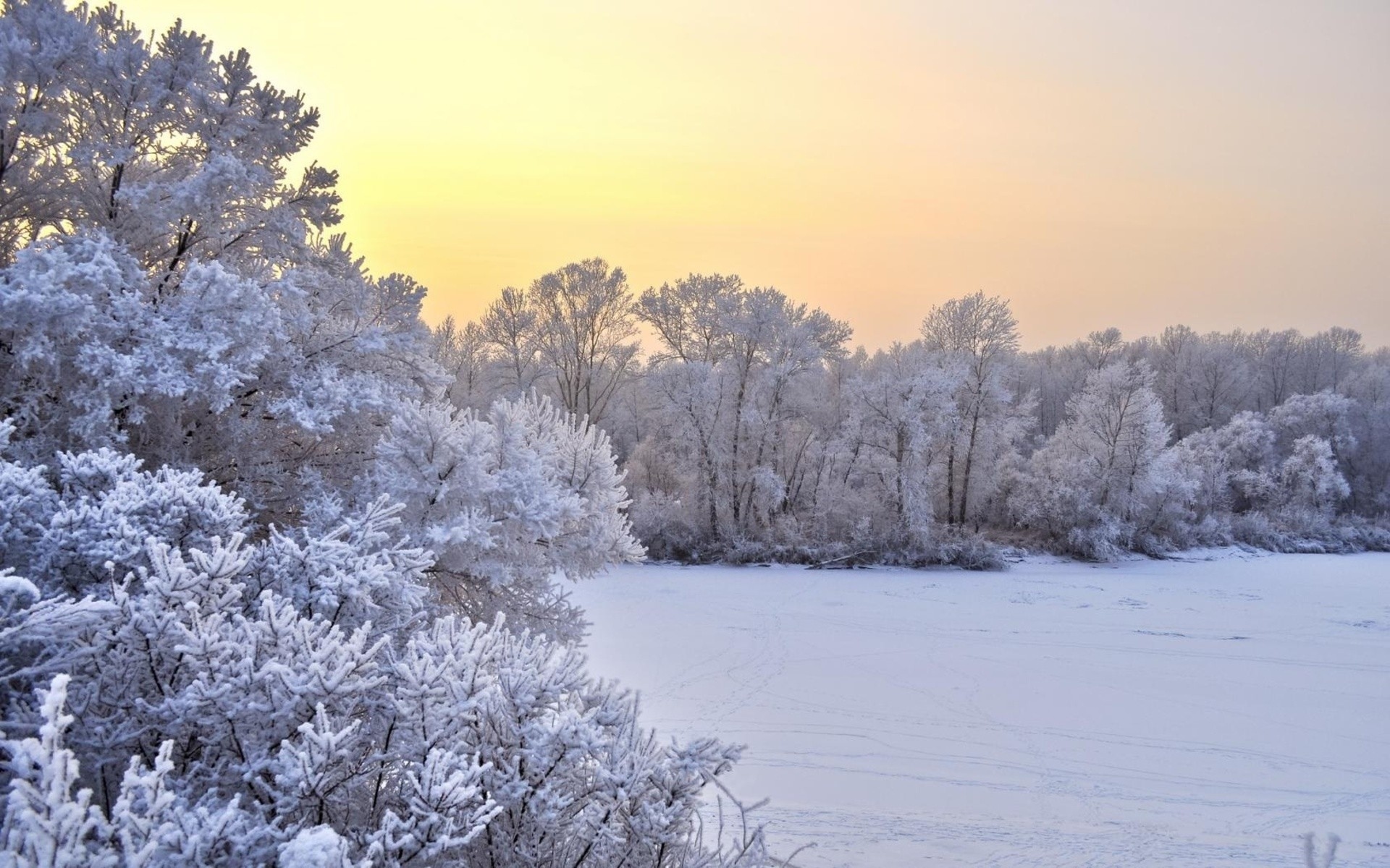 Téléchargez gratuitement l'image Hiver, Terre/nature sur le bureau de votre PC