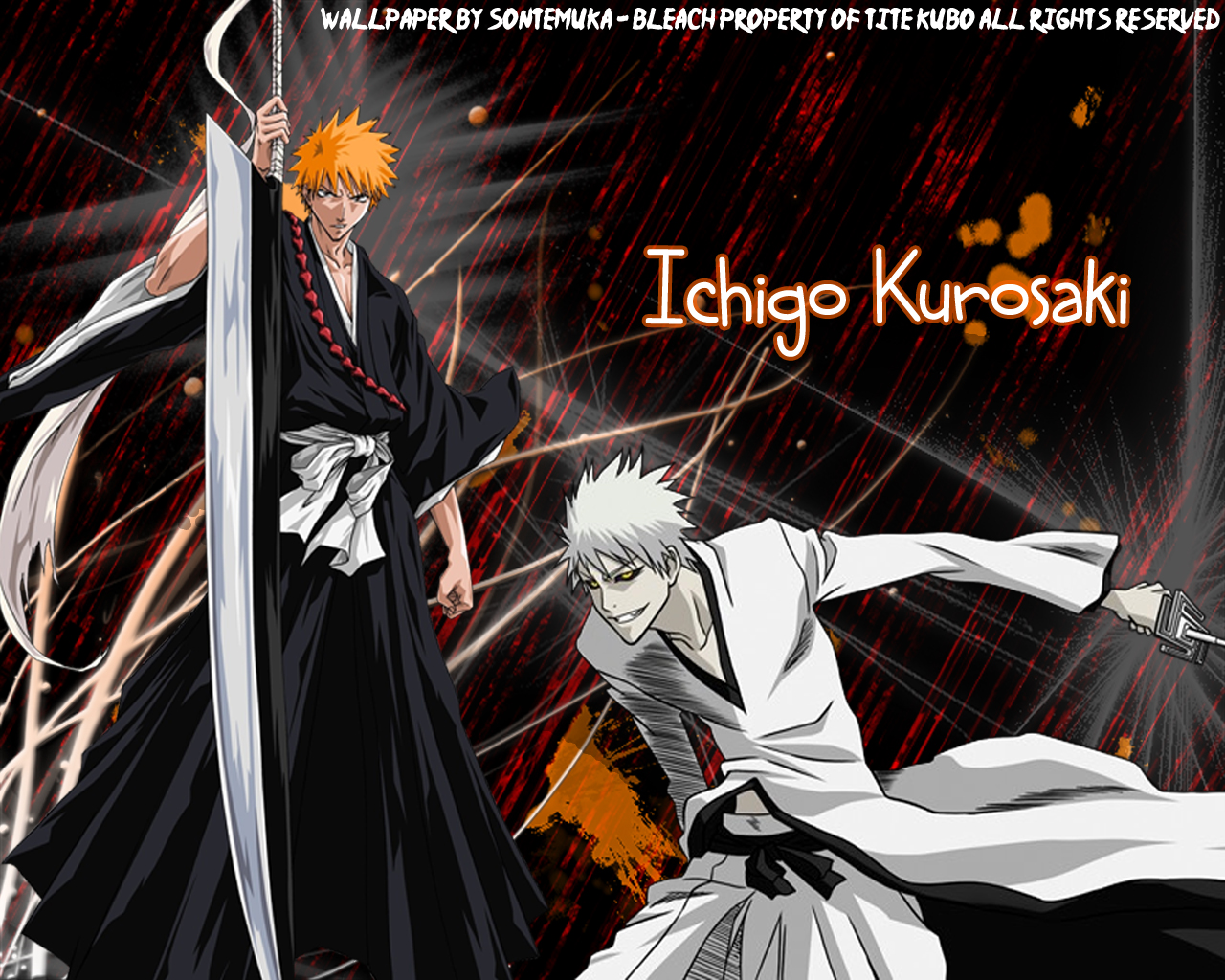 Free download wallpaper Anime, Bleach, Ichigo Kurosaki on your PC desktop