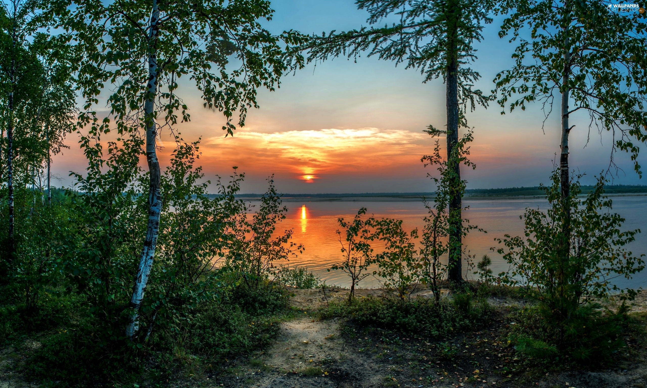 Download mobile wallpaper Sunset, Lakes, Lake, Tree, Earth, Birch for free.