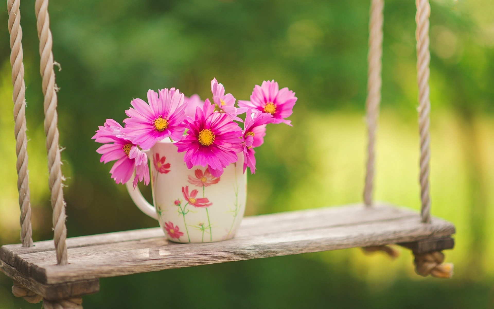 Laden Sie das Blume, Tasse, Verwischen, Schwingen, Kosmos, Menschengemacht, Pinke Blume-Bild kostenlos auf Ihren PC-Desktop herunter