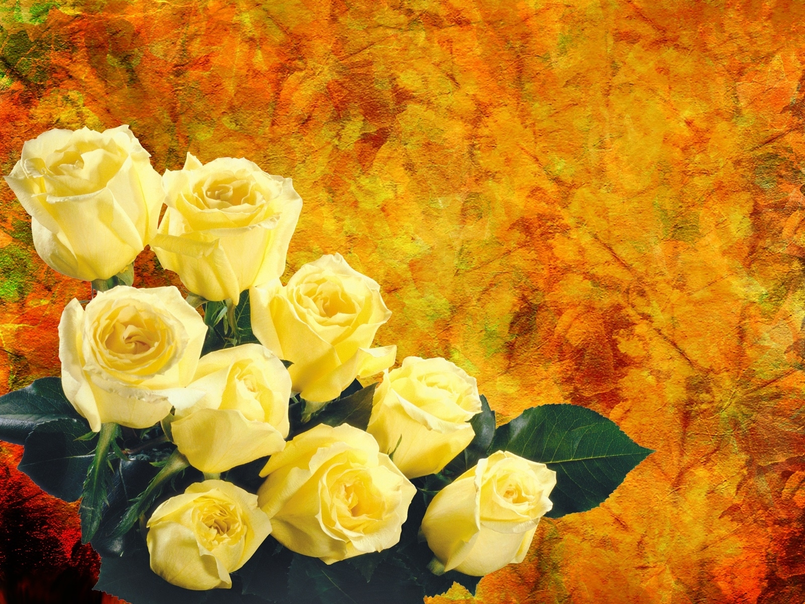 753999壁紙のダウンロード芸術的, 薔薇, 花, 黄色い花, 黄色いバラ-スクリーンセーバーと写真を無料で