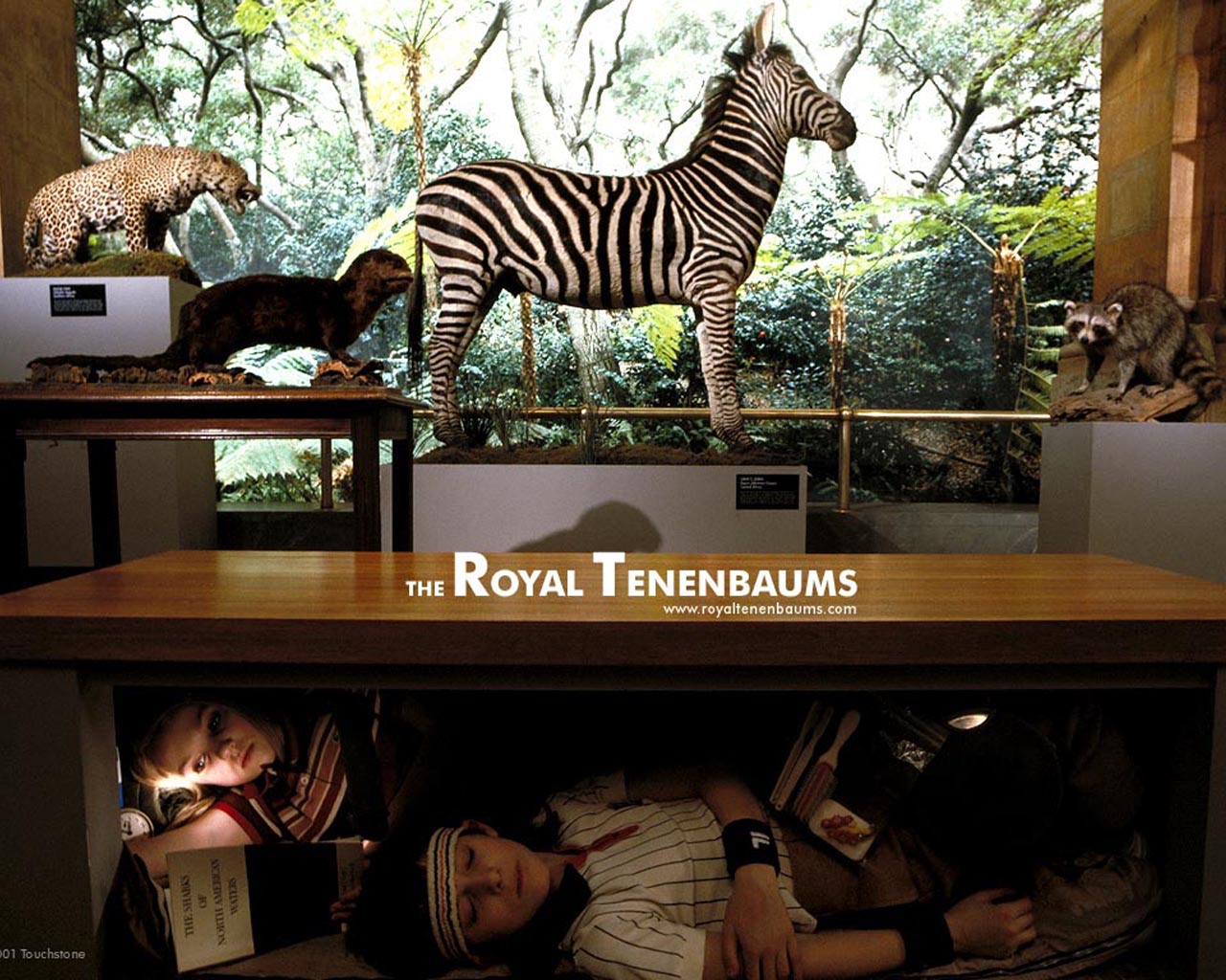 The Royal Tenenbaums 4K Wallpaper