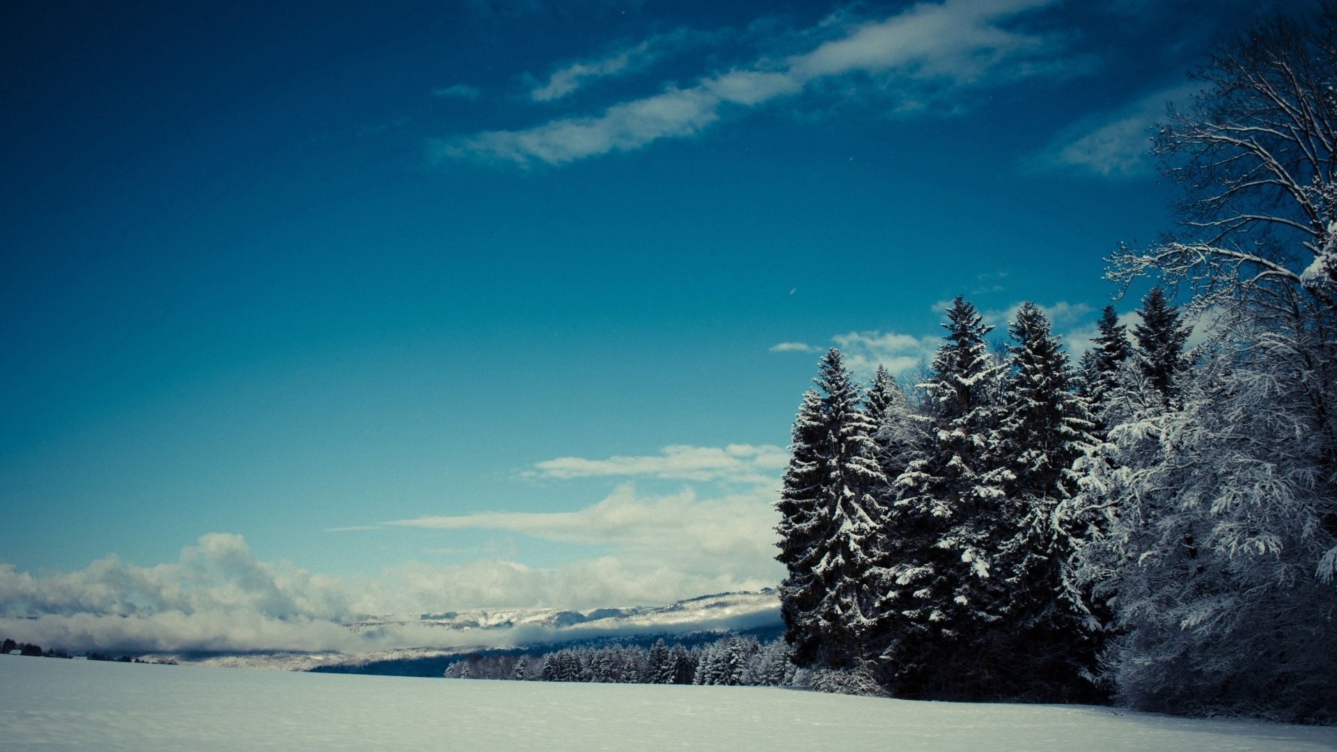 nature, winter, trees, mountains, snow, height, gloomy, polyana, glade