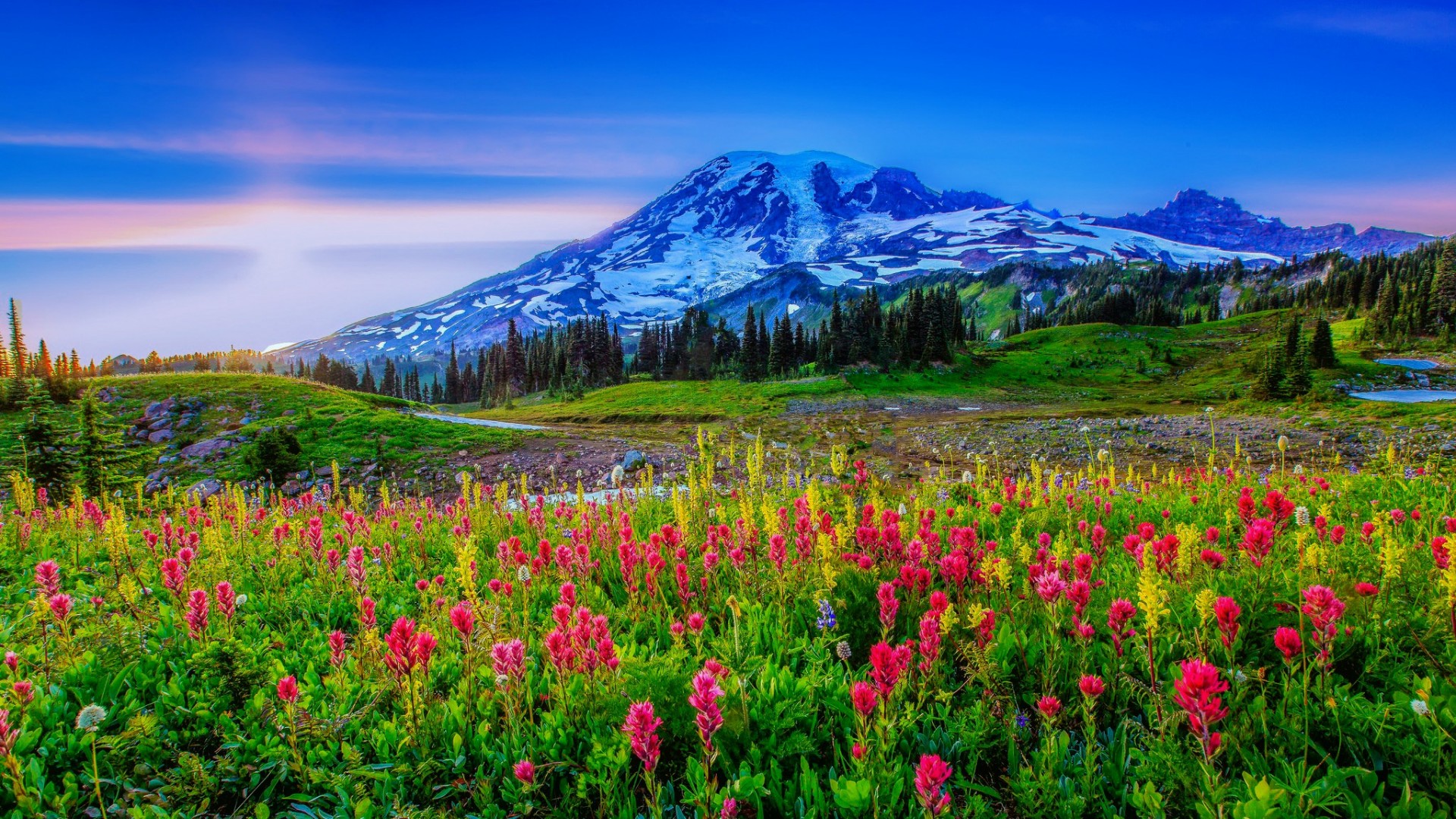 Скачать обои бесплатно Пейзаж, Гора, Цветок, Весна, Земля/природа картинка на рабочий стол ПК
