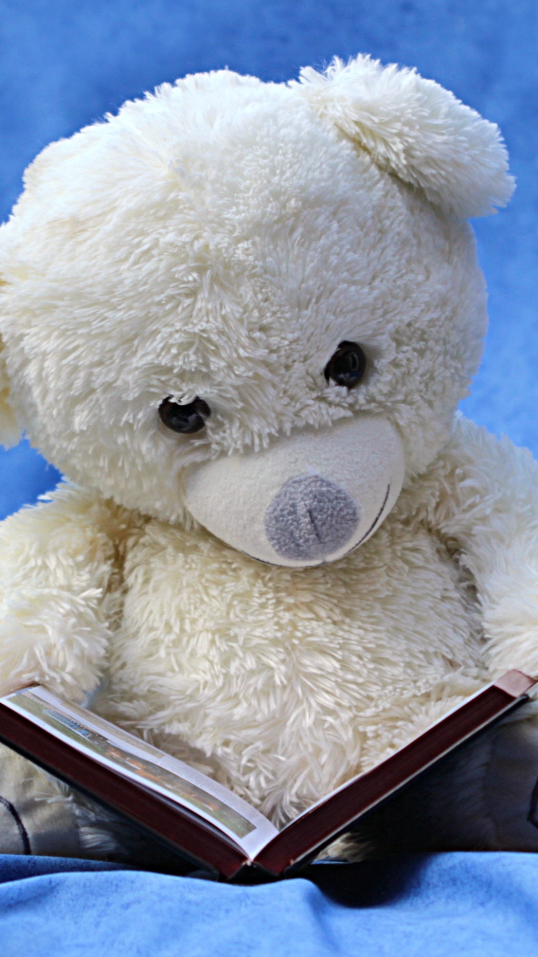 Download mobile wallpaper Teddy Bear, Still Life, Toy, Book, Man Made, Stuffed Animal for free.