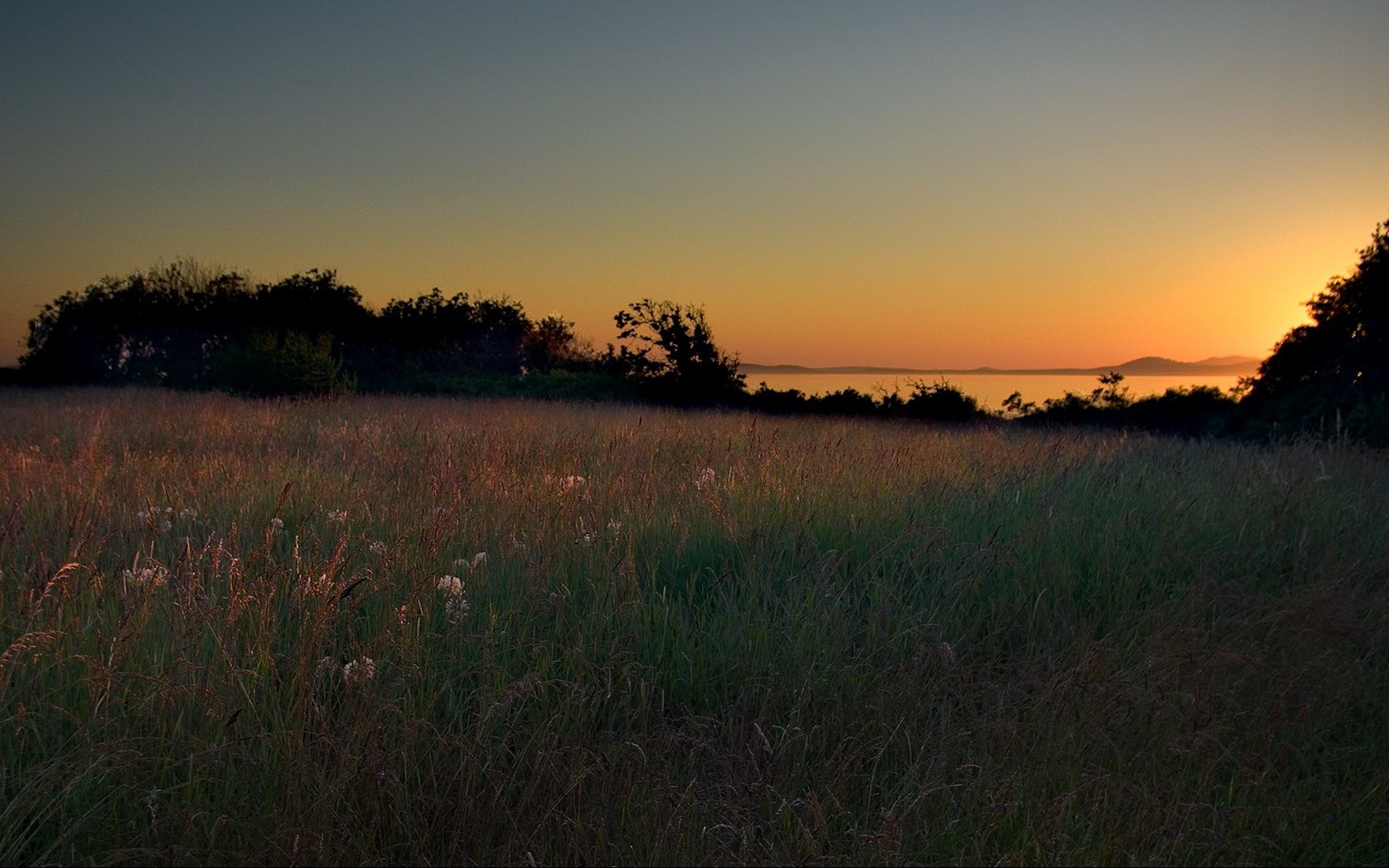 Handy-Wallpaper Natur, Sunset, Abend, Wiese, Grass, Sky kostenlos herunterladen.