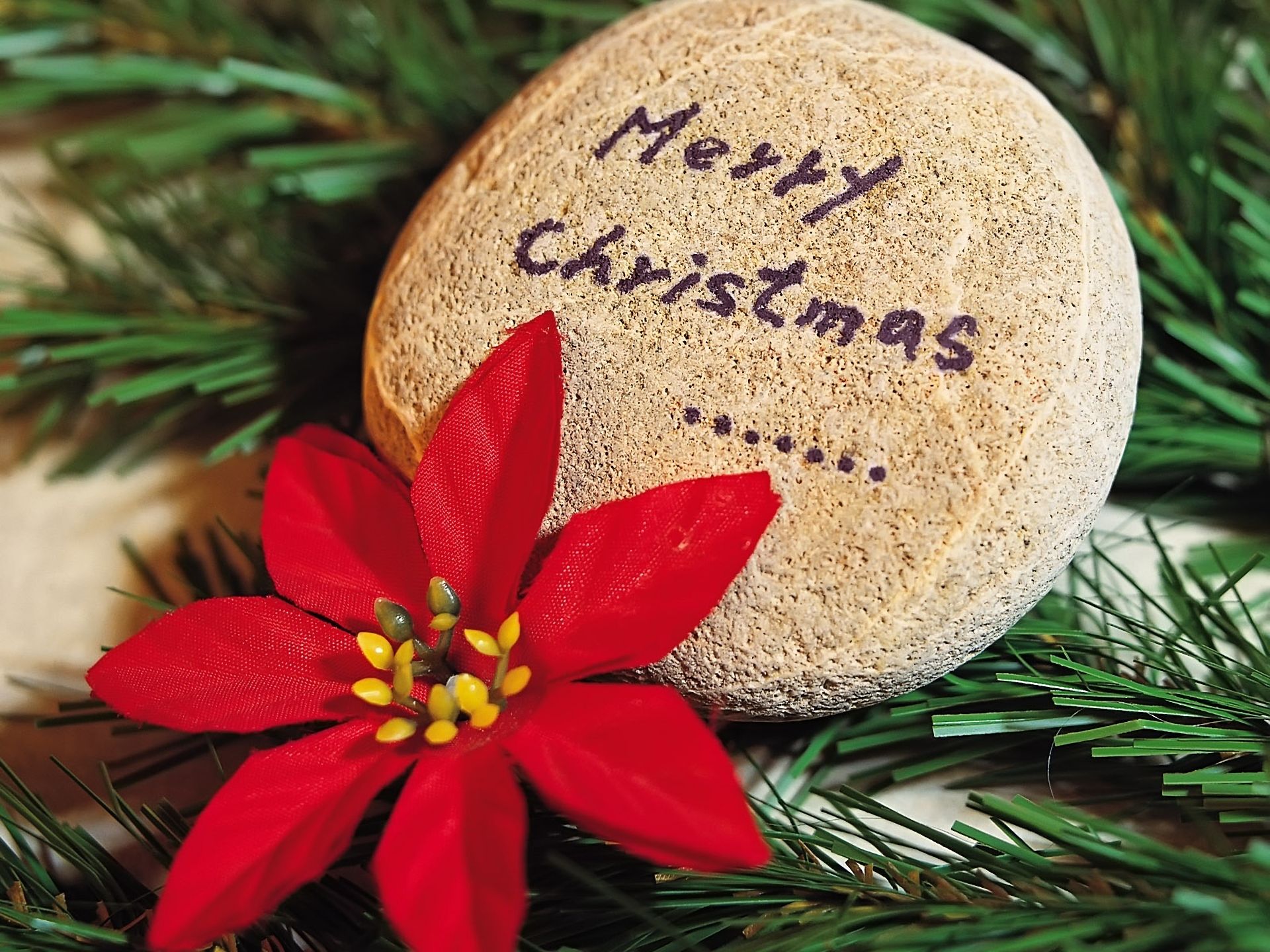 Baixe gratuitamente a imagem Natal, Pedra, Flor, Feriados, Feliz Natal na área de trabalho do seu PC