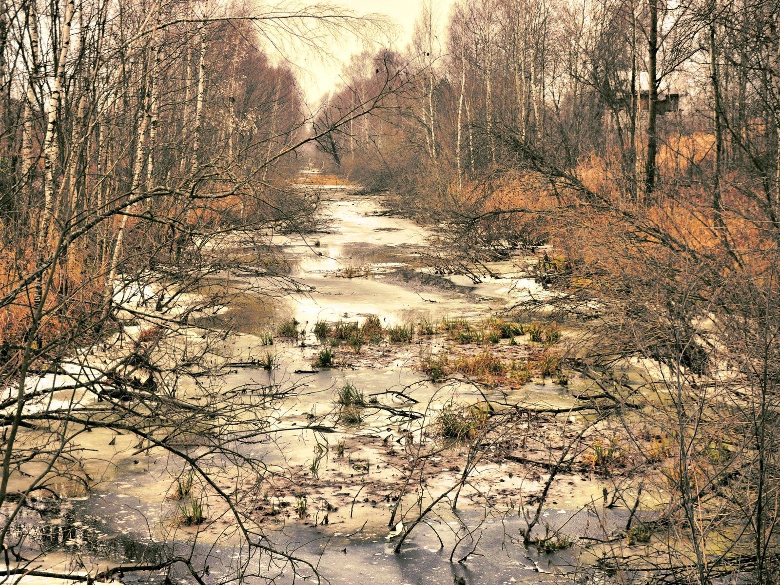 Laden Sie das Eis, Natur, Flüsse, Bäume, Herbst-Bild kostenlos auf Ihren PC-Desktop herunter