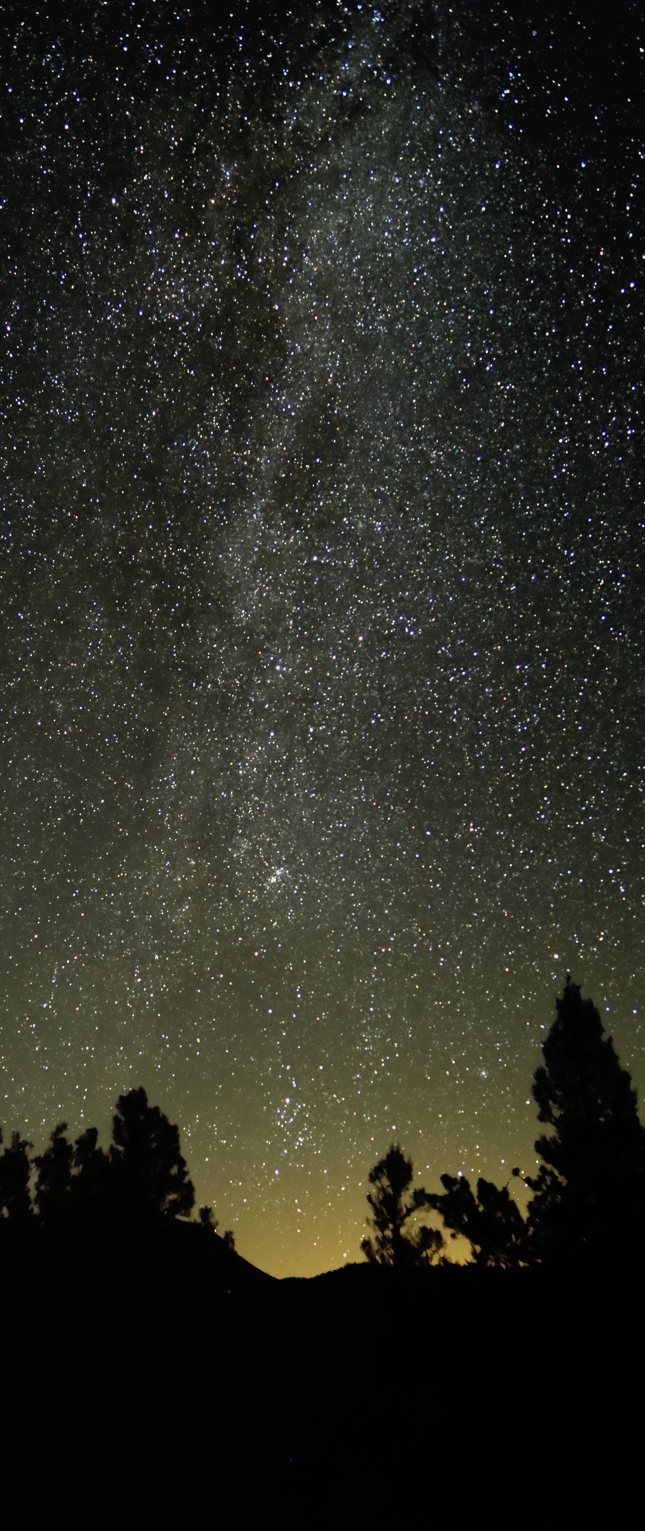 Download mobile wallpaper Stars, Trees, Nebula, Silhouette, Starry Sky, Night, Dark for free.