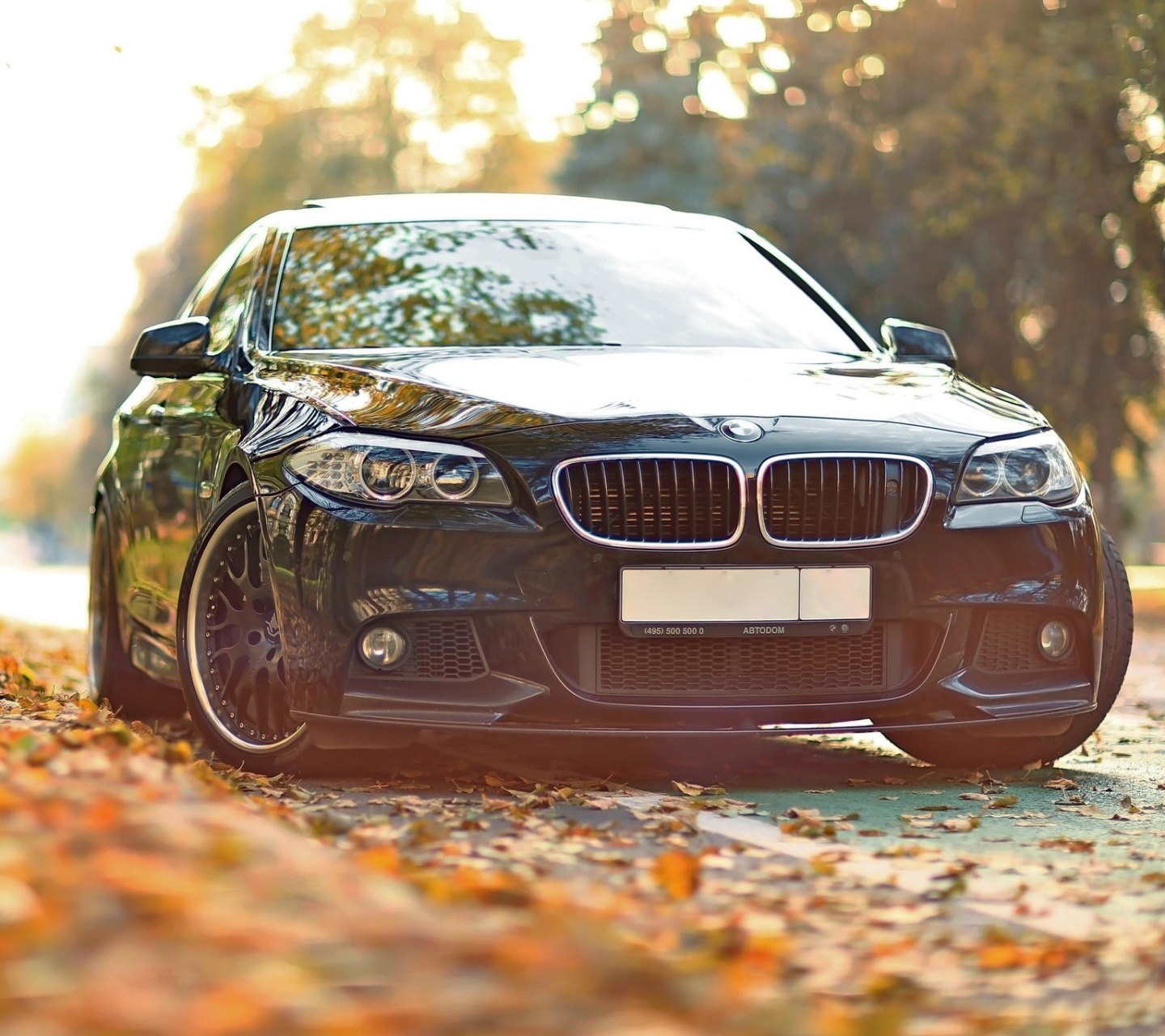 Download mobile wallpaper Bmw, Bmw 5 Series, Vehicles for free.