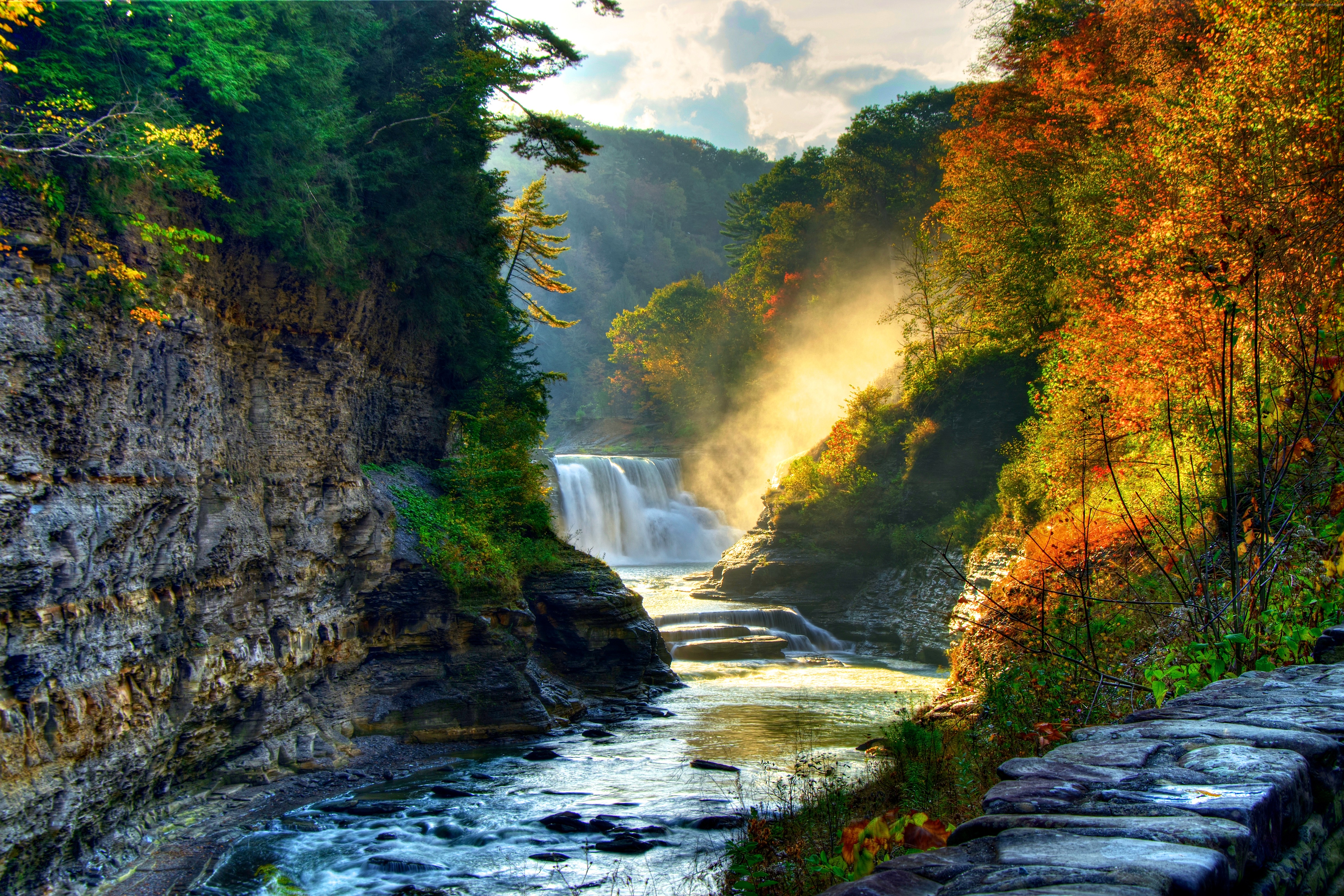 PCデスクトップに自然, 木, 秋, 滝, 森, 地球画像を無料でダウンロード