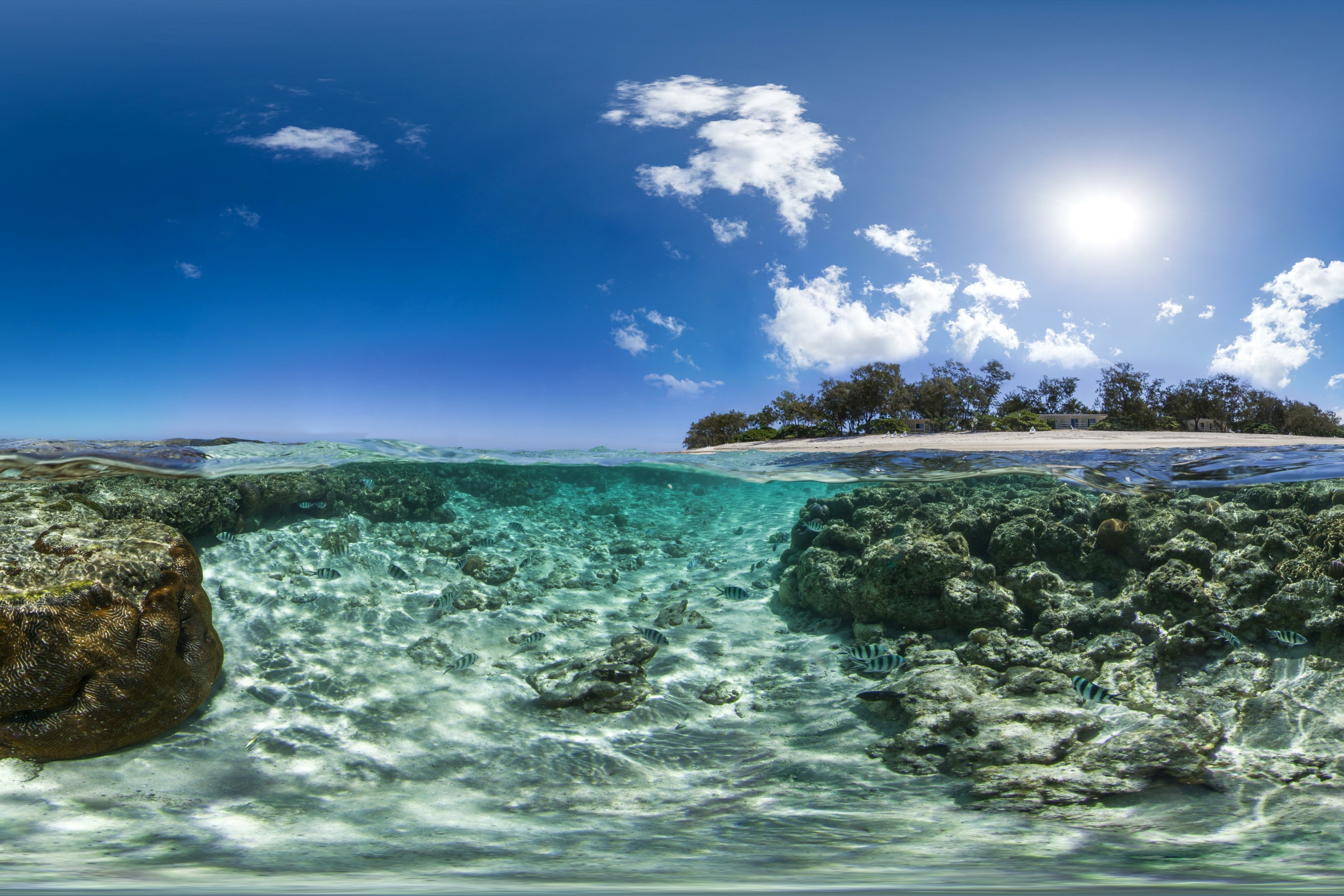 1425119 скачать картинку большой барьерный риф, земля/природа, подводный, австралия - обои и заставки бесплатно