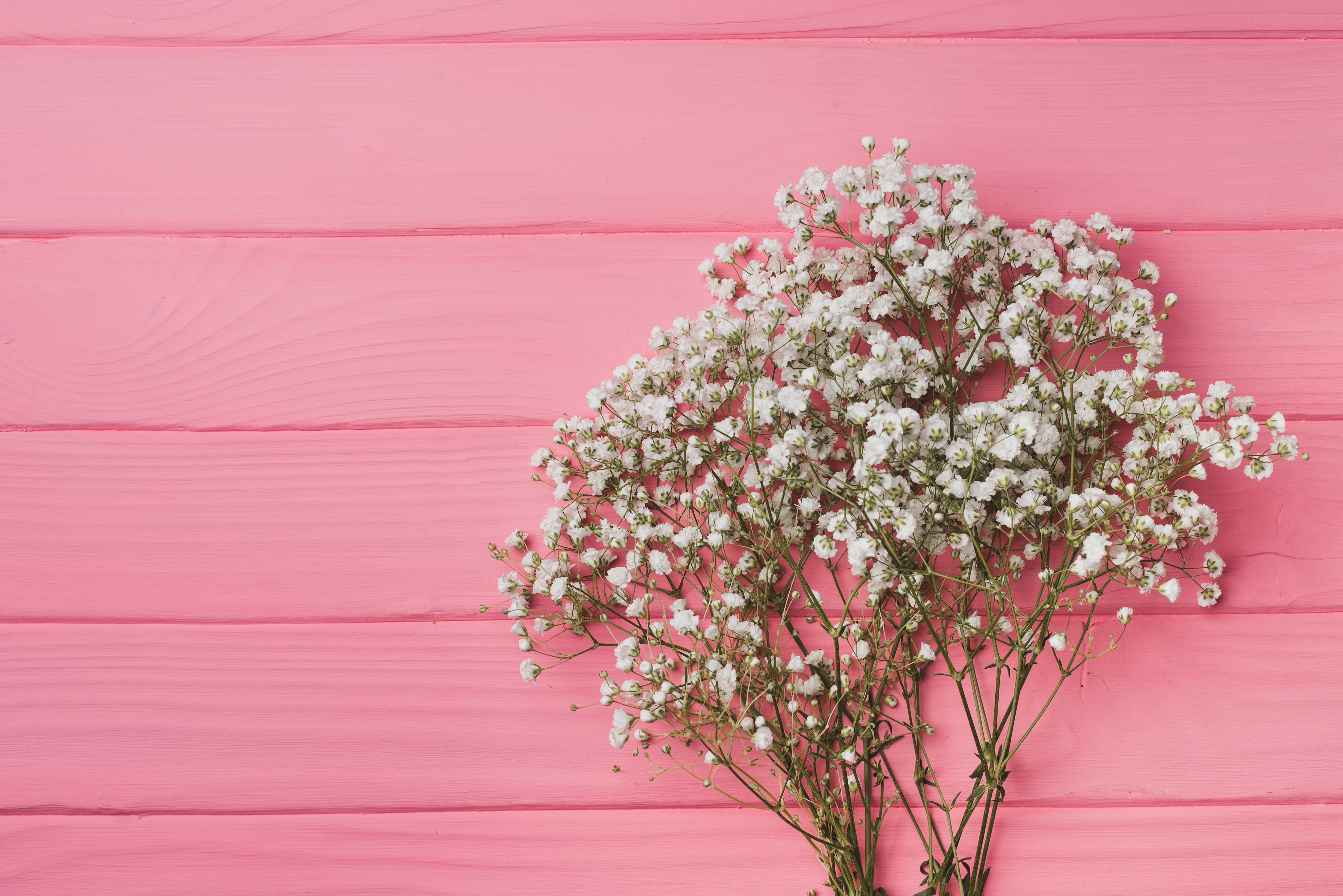 Handy-Wallpaper Blume, Holz, Weiße Blume, Menschengemacht, Säuglingsatem kostenlos herunterladen.