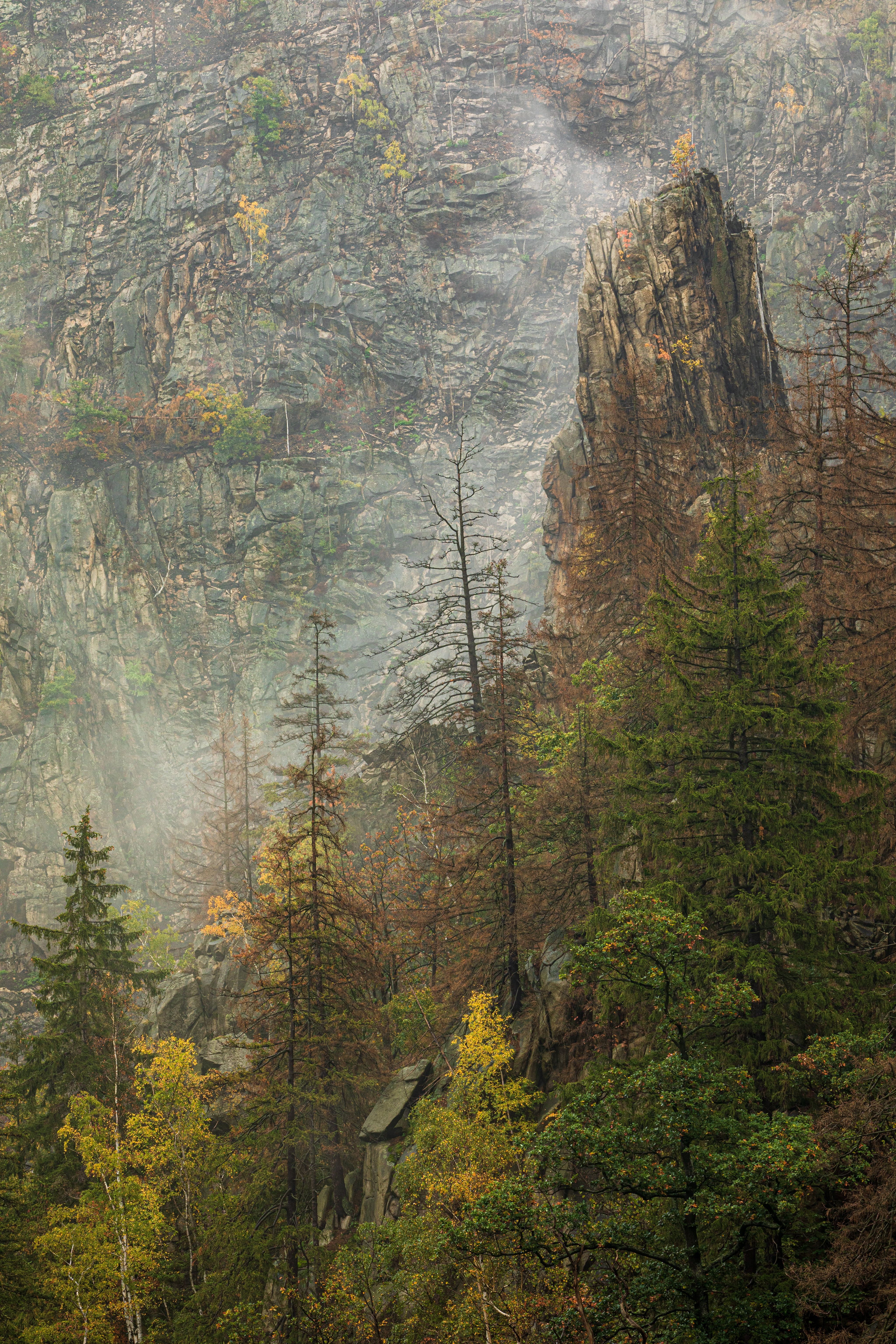 Handy-Wallpaper Rock, Felsen, Nebel, Natur, Bäume kostenlos herunterladen.