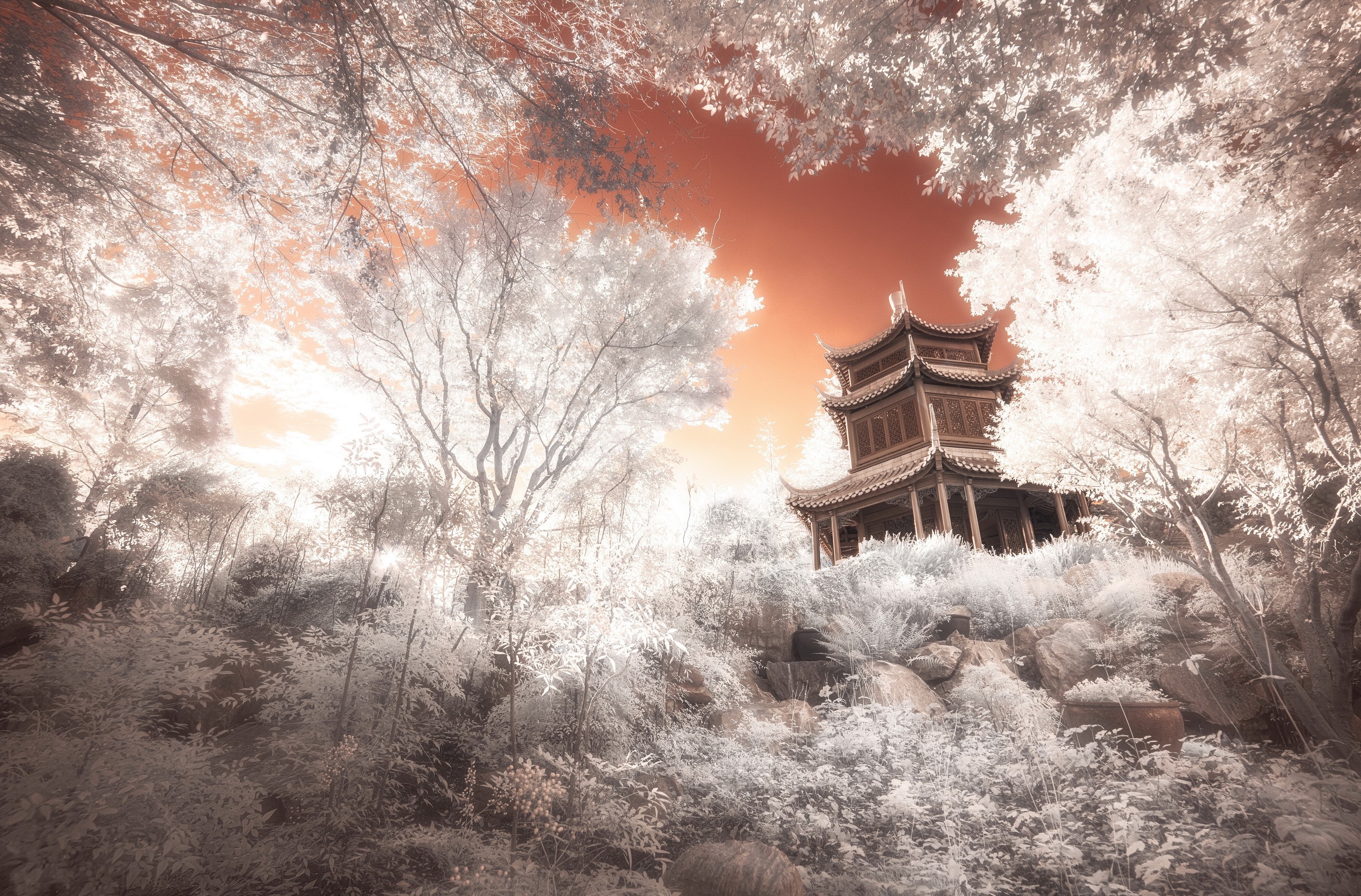 Free download wallpaper Tree, Pagoda, Religious on your PC desktop