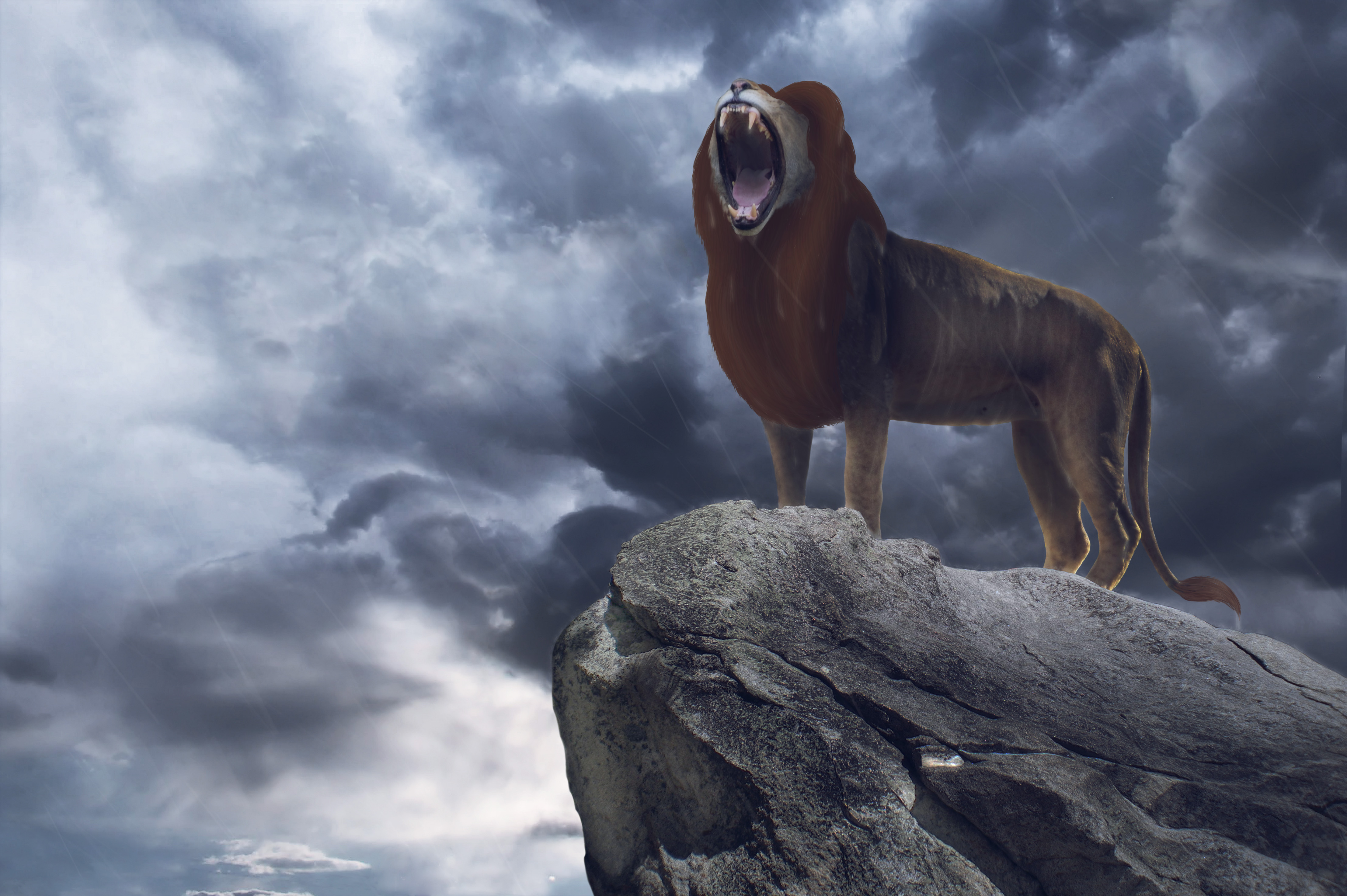 movie, the lion king (2019), simba