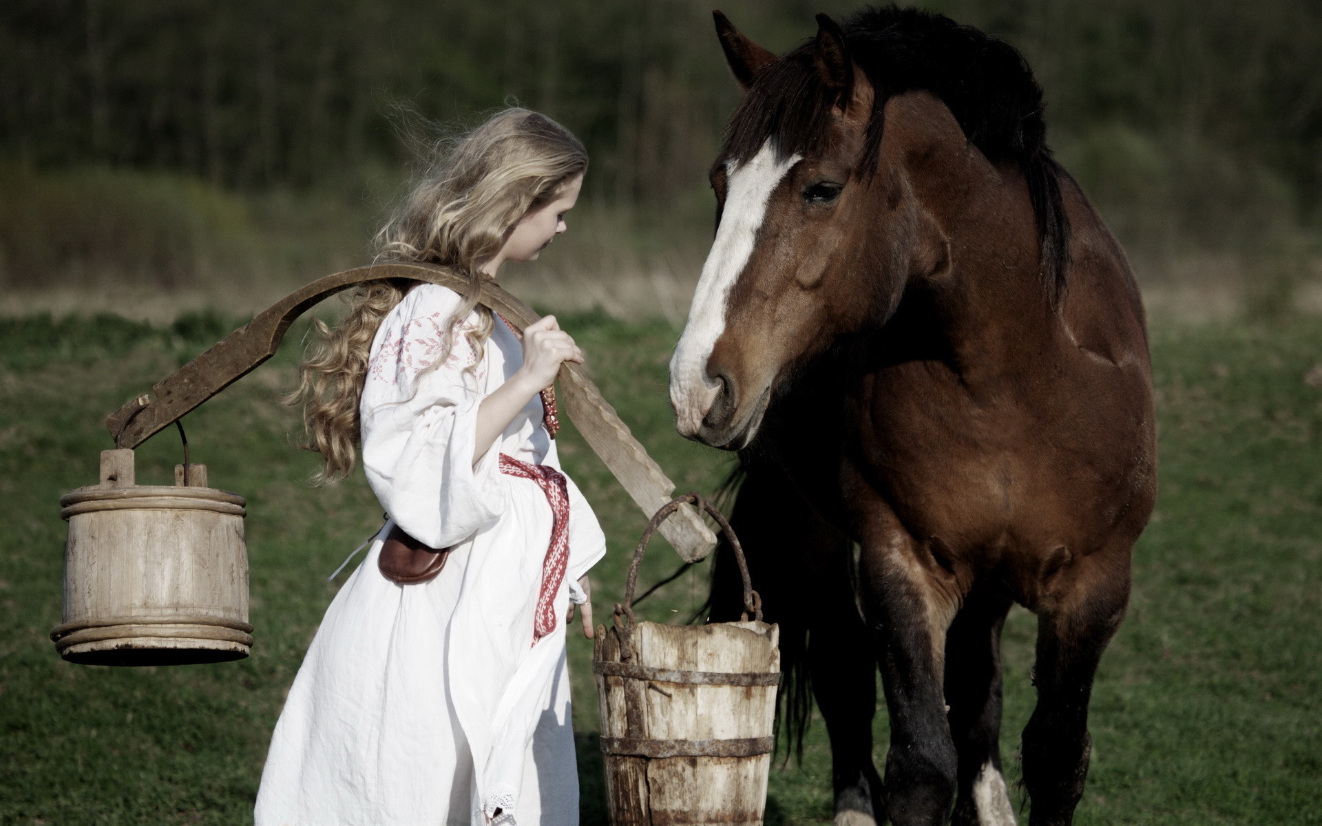 Descarga gratuita de fondo de pantalla para móvil de Animales, Caballo.