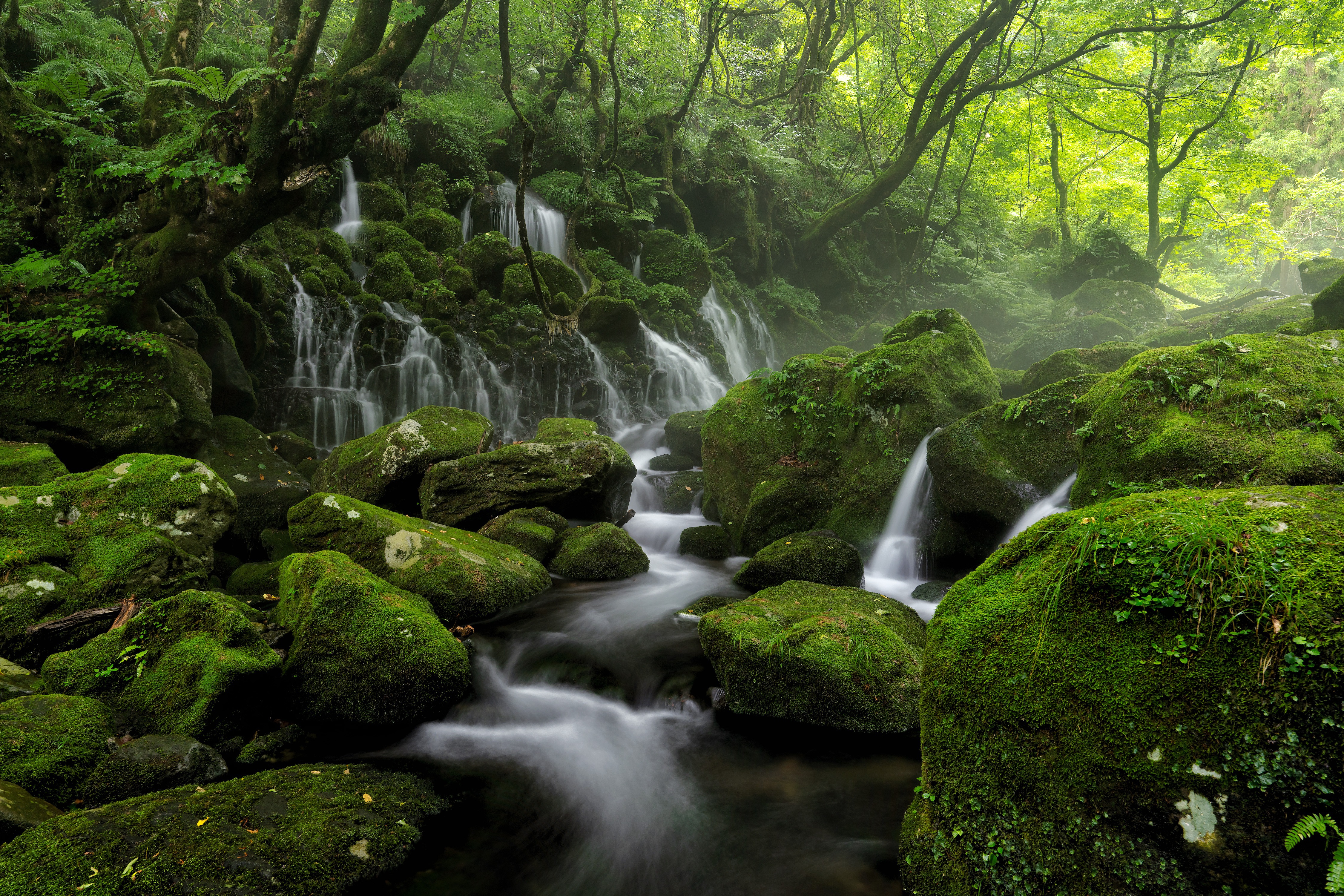 Download mobile wallpaper Nature, Earth, Stream, Greenery for free.