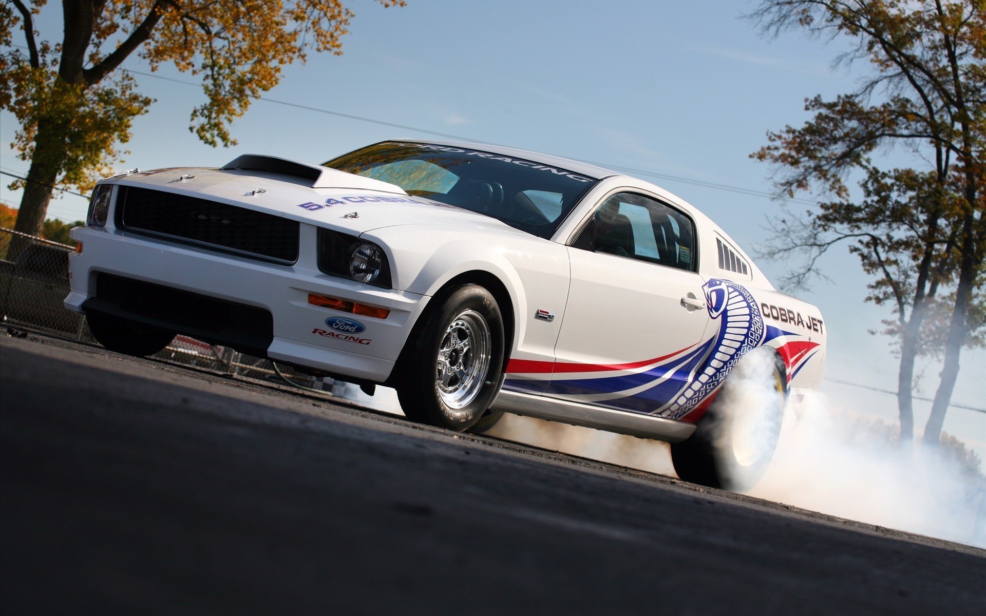 PC Wallpapers transport, auto, mustang