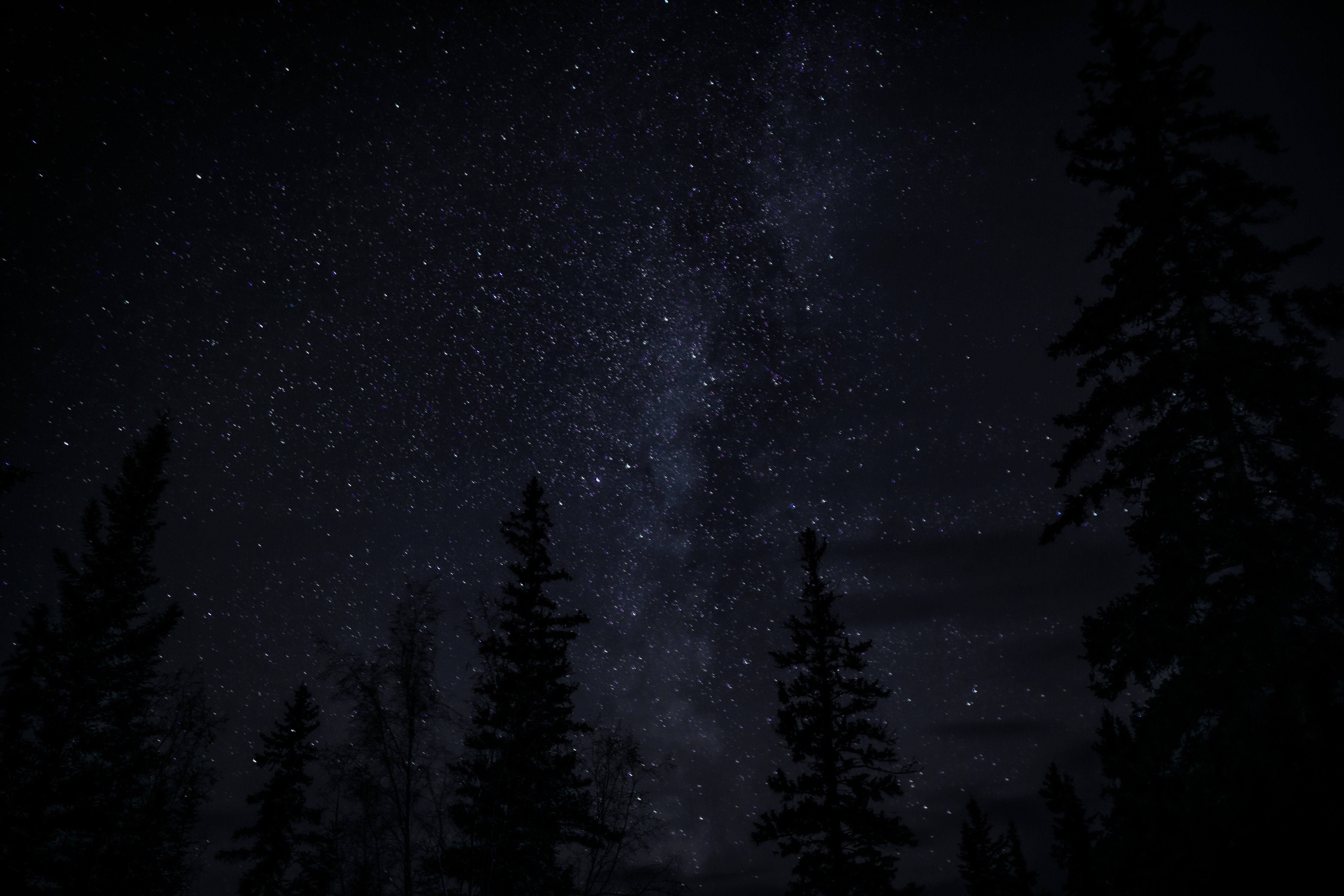 Download mobile wallpaper Night, Trees, Starry Sky, Dark, Darkness for free.