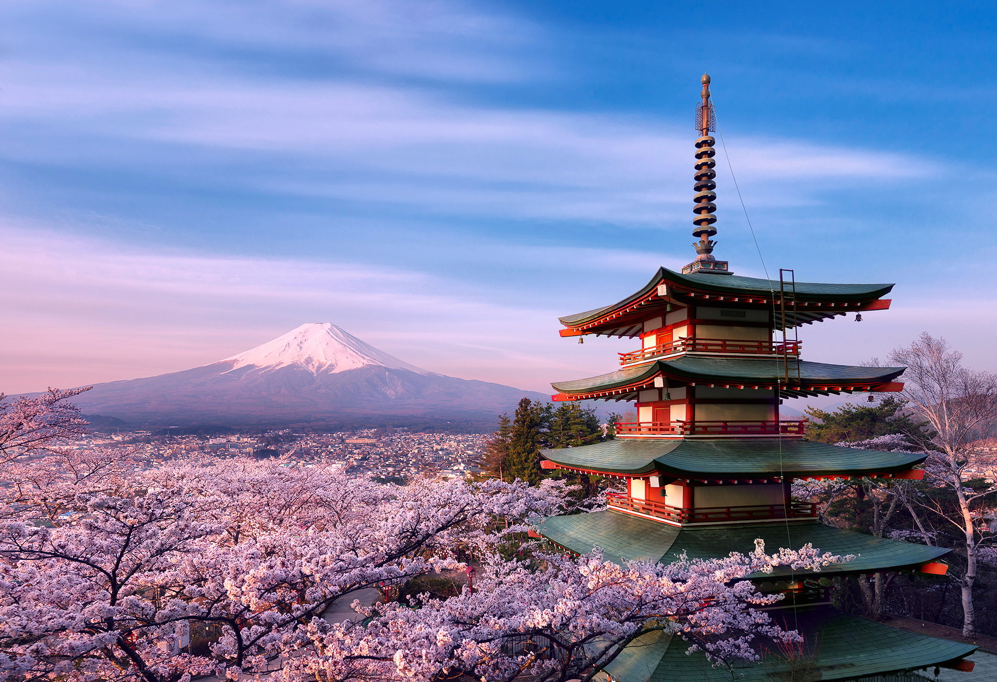 435358 скачать обои япония, сакура, гора фудзи, вулканы, свет, пагода, цветок, земля/природа, пинк - заставки и картинки бесплатно