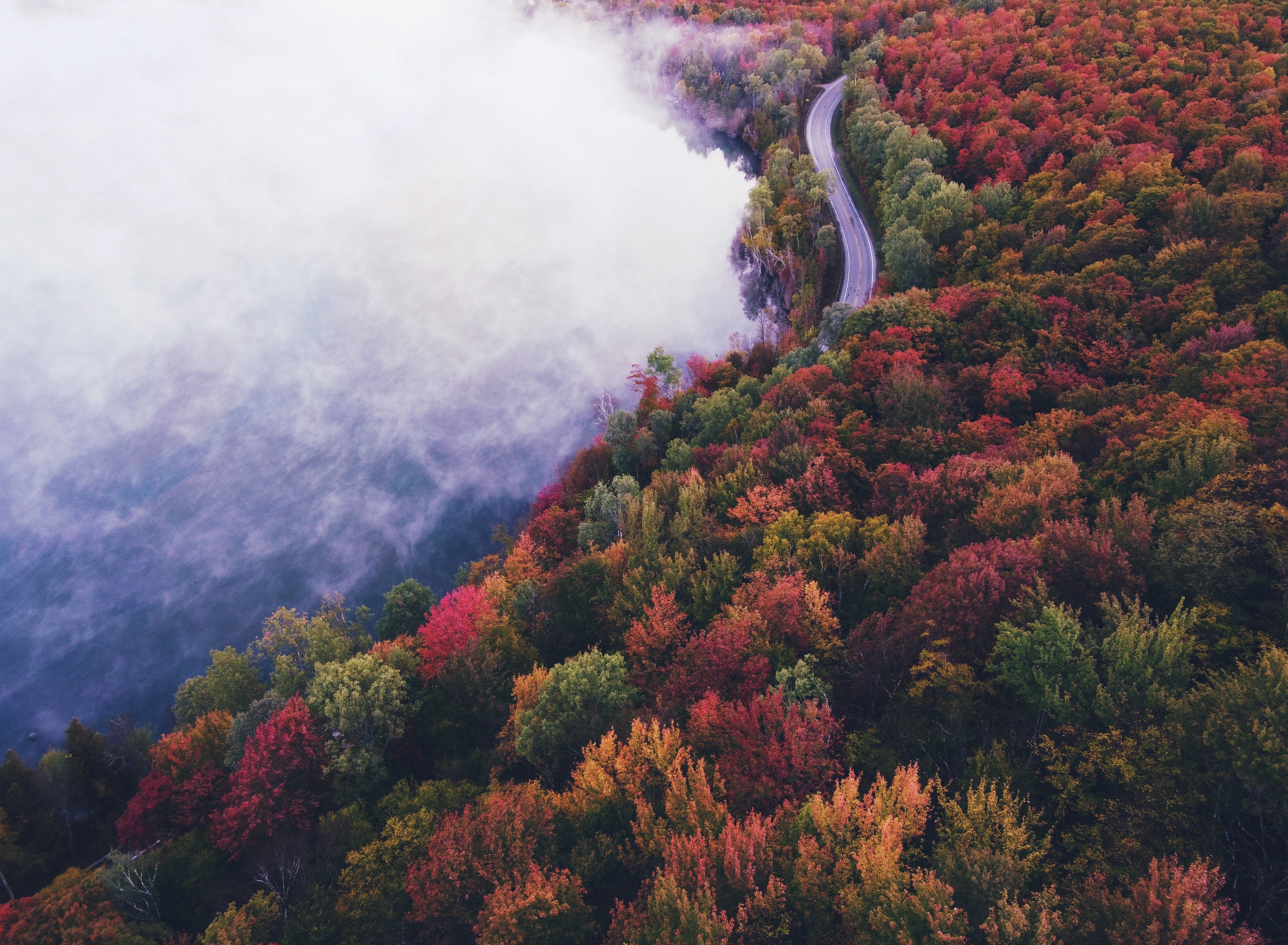 Скачати мобільні шпалери Туман, Дерева, Дорога, Природа, Осінь безкоштовно.