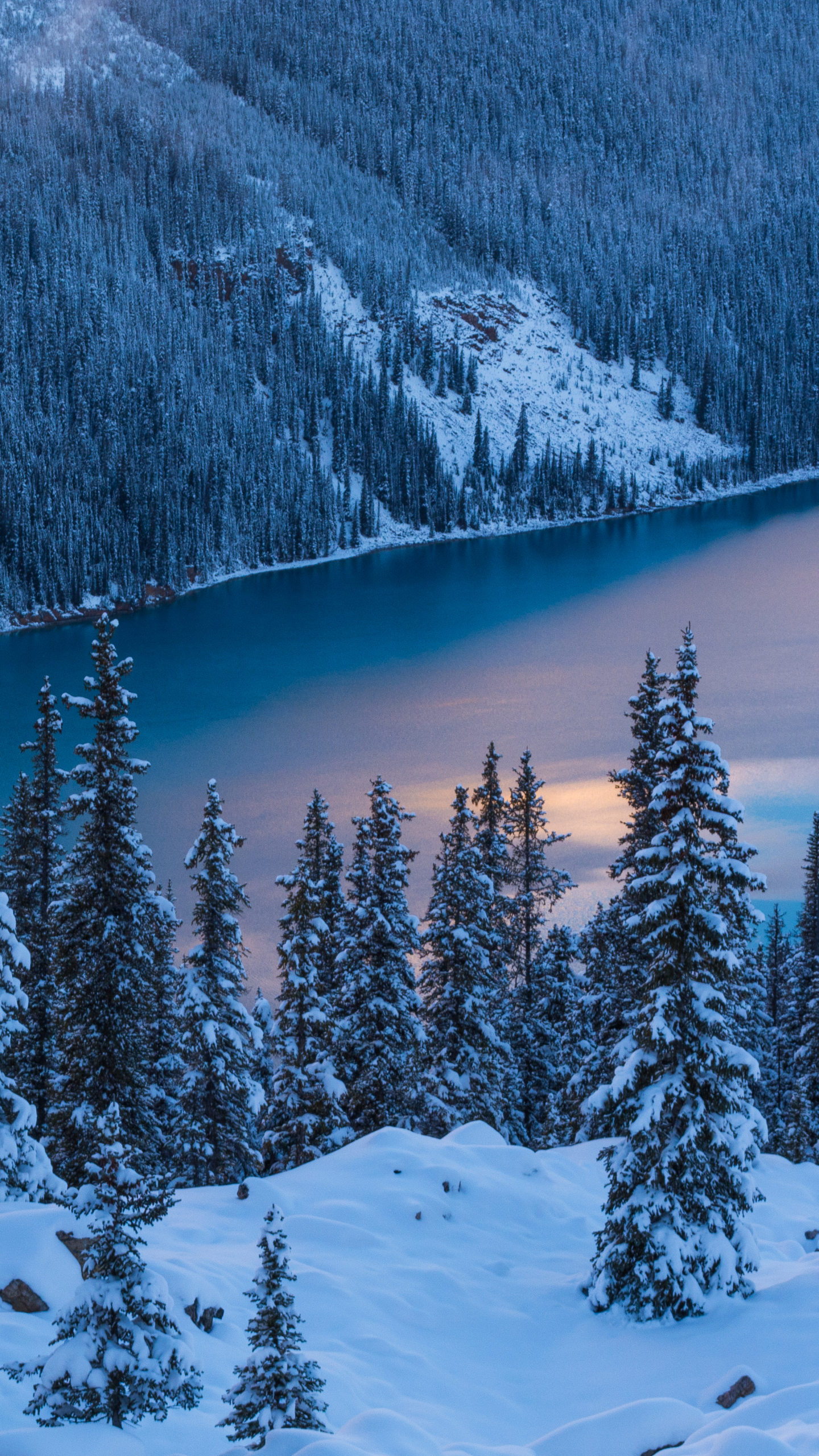 Download mobile wallpaper Winter, Snow, Lakes, Lake, Tree, Earth for free.