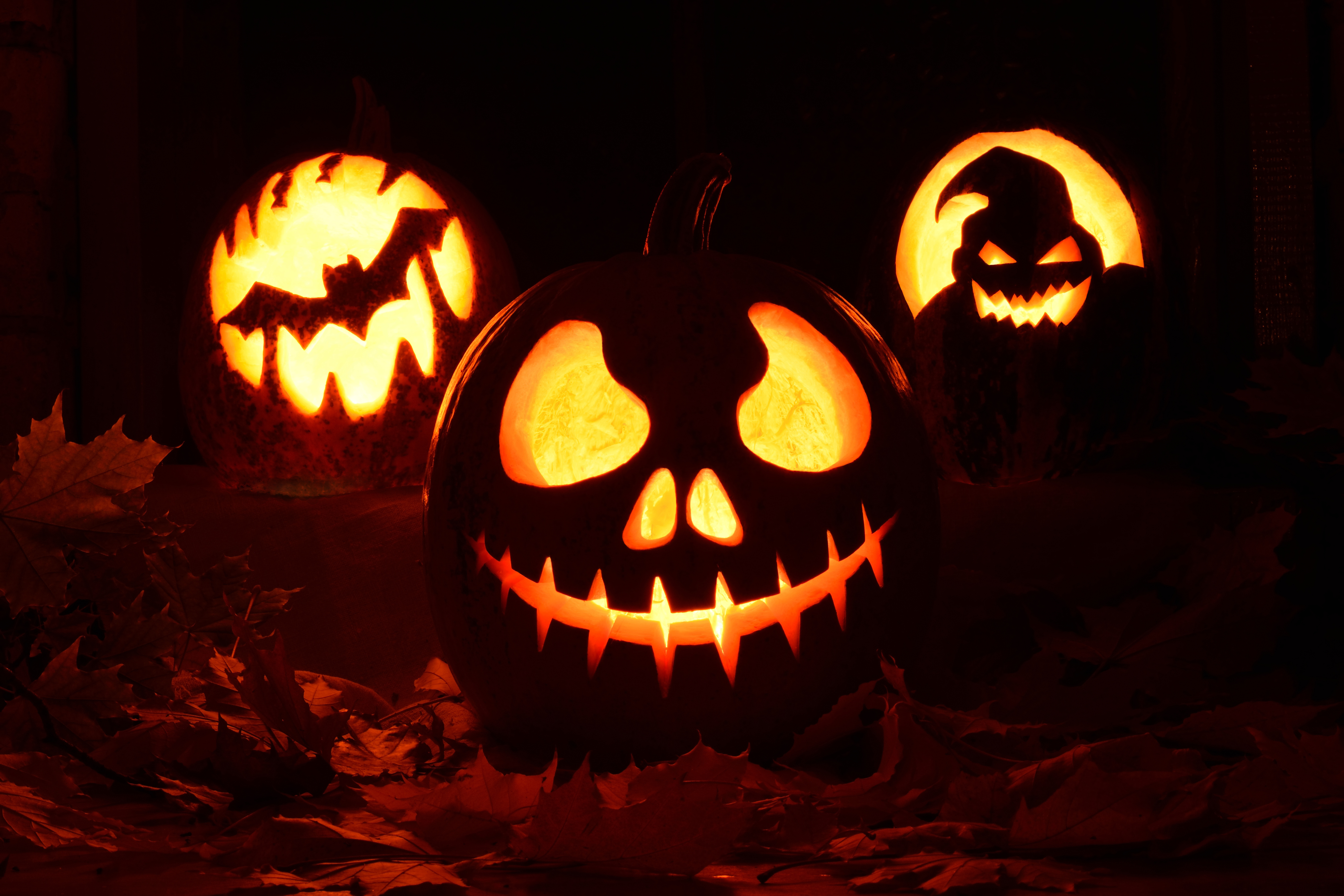 Download mobile wallpaper Halloween, Pumpkin, Holiday, Leaf, Fall, Jack O' Lantern for free.
