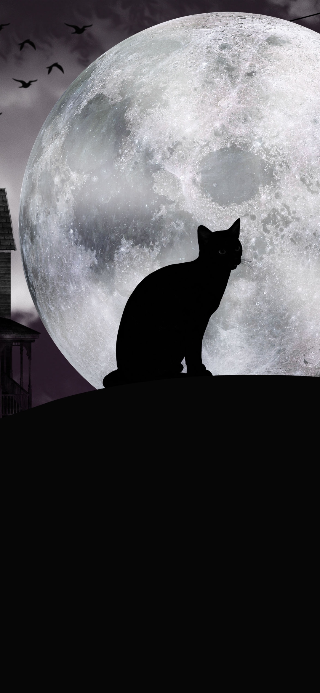 Скачати мобільні шпалери Хеллоуїн, Місяць, Кішка, Свято безкоштовно.