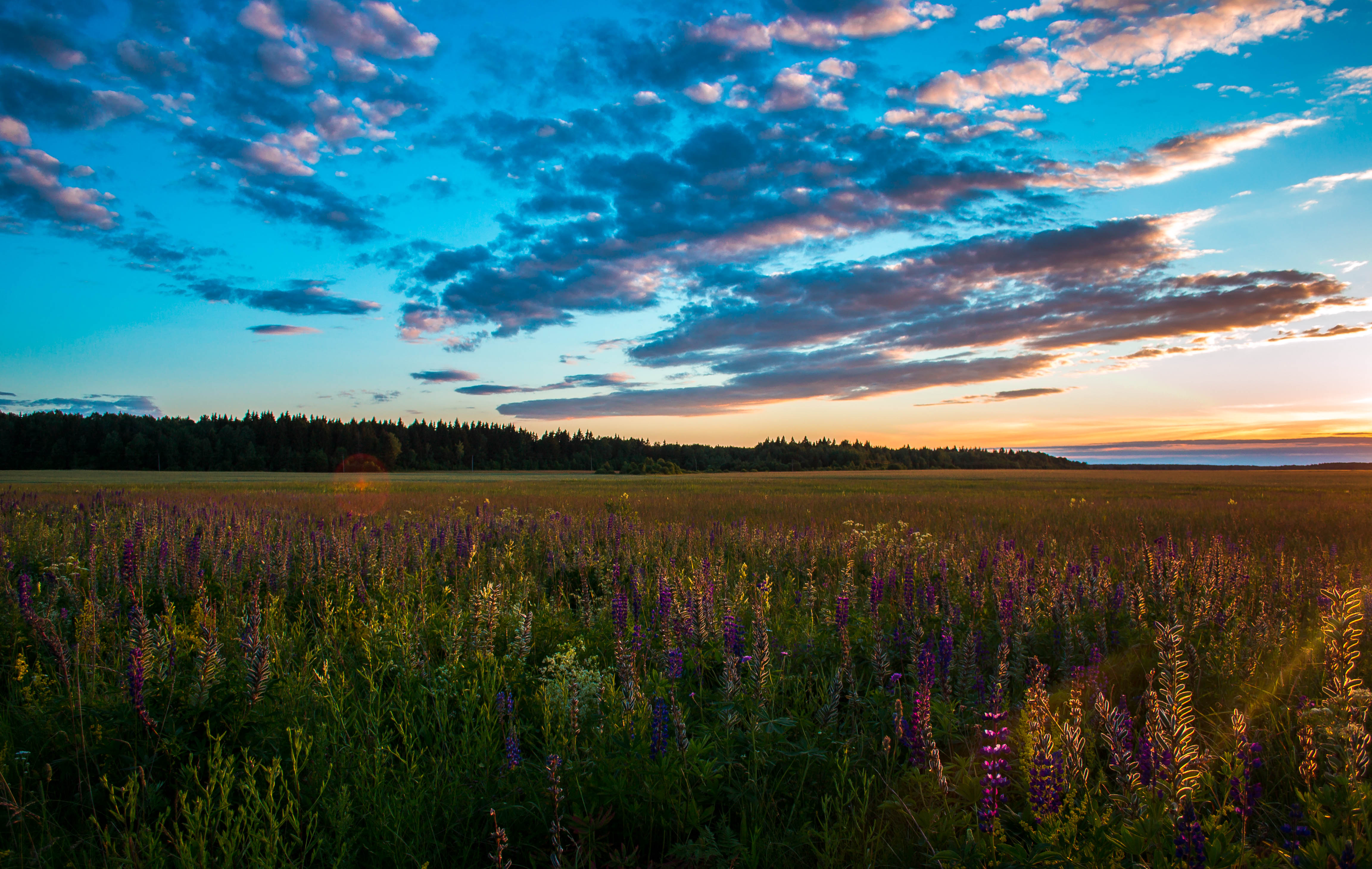 Free download wallpaper Grass, Sky, Summer, Nature, Sunset, Field on your PC desktop