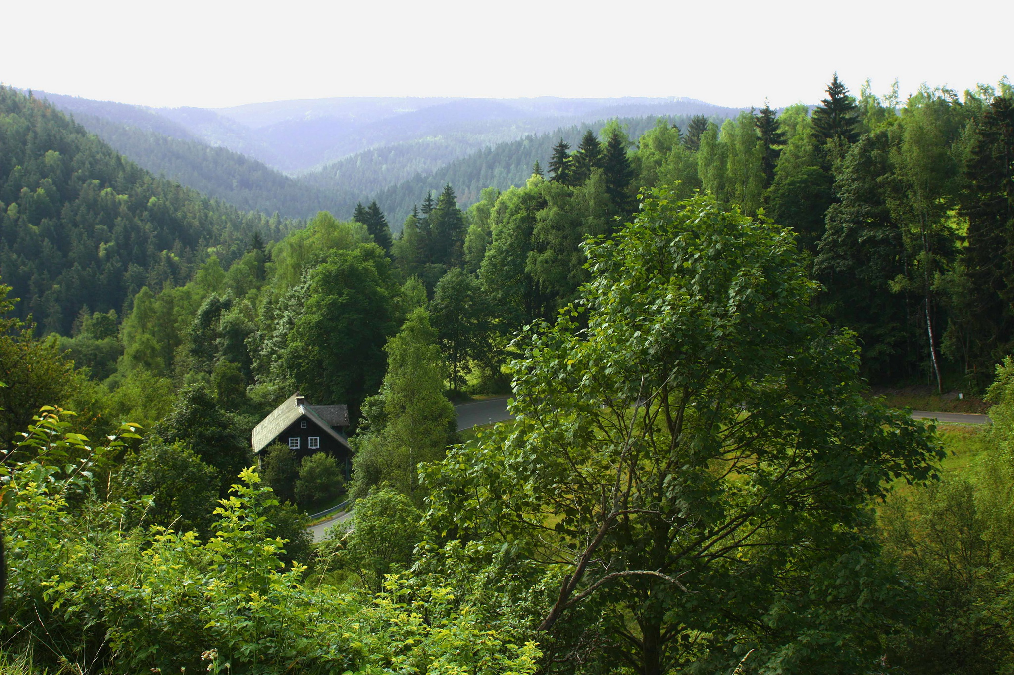 Handy-Wallpaper Landschaft, Wald, Baum, Haus, Fotografie kostenlos herunterladen.