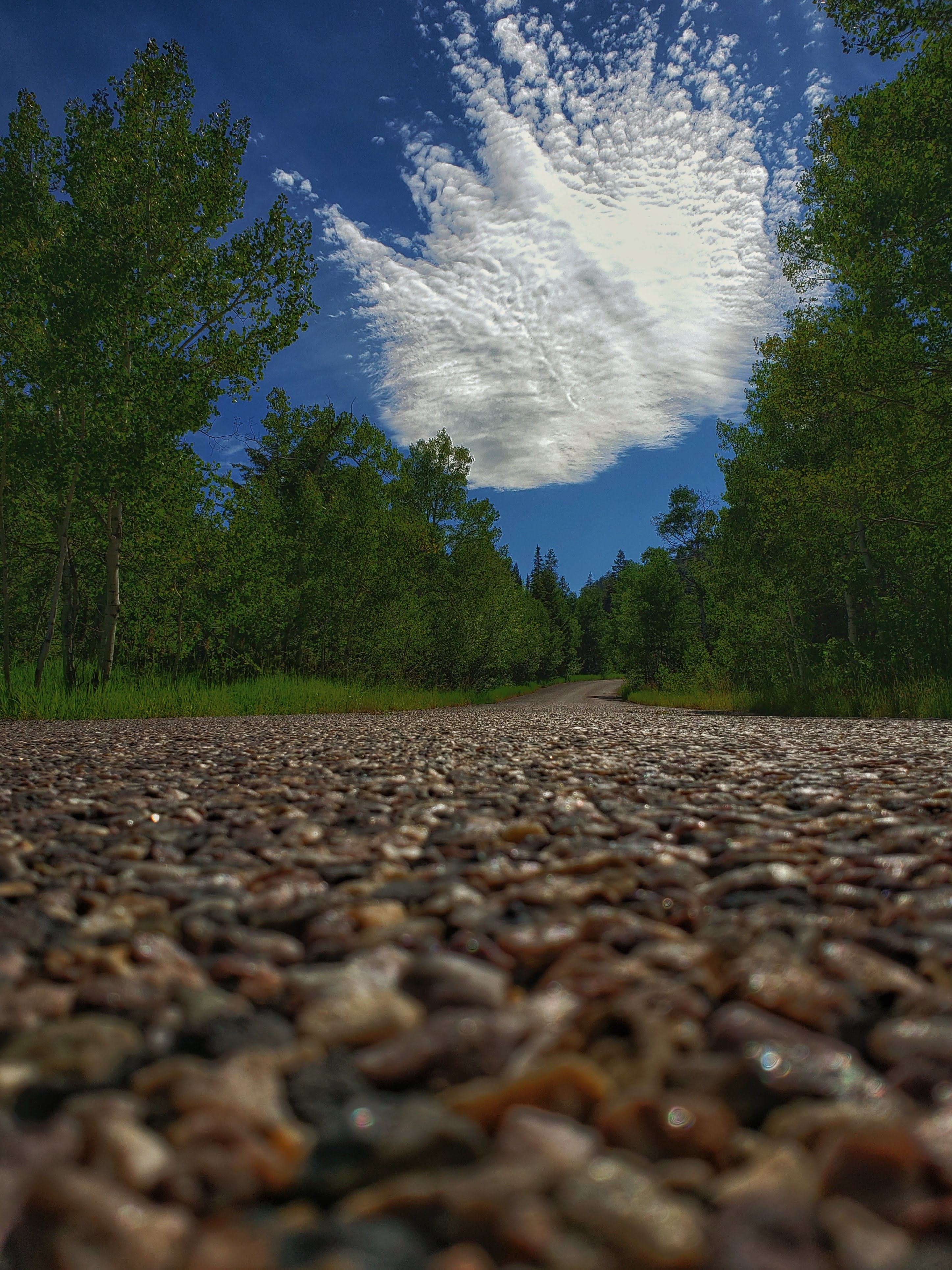 Free download wallpaper Trees, Dahl, Clouds, Road, Nature, Distance on your PC desktop