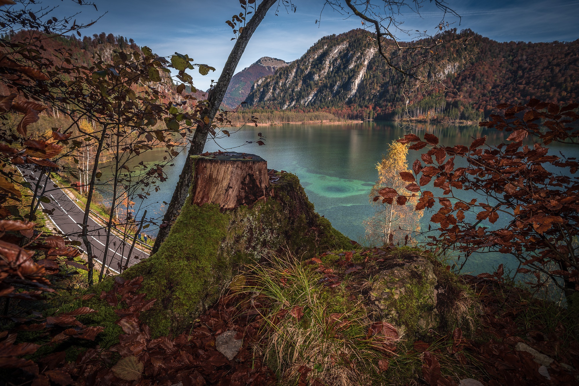 photography, lake, austria, fall, mountain, nature, road, stump, lakes