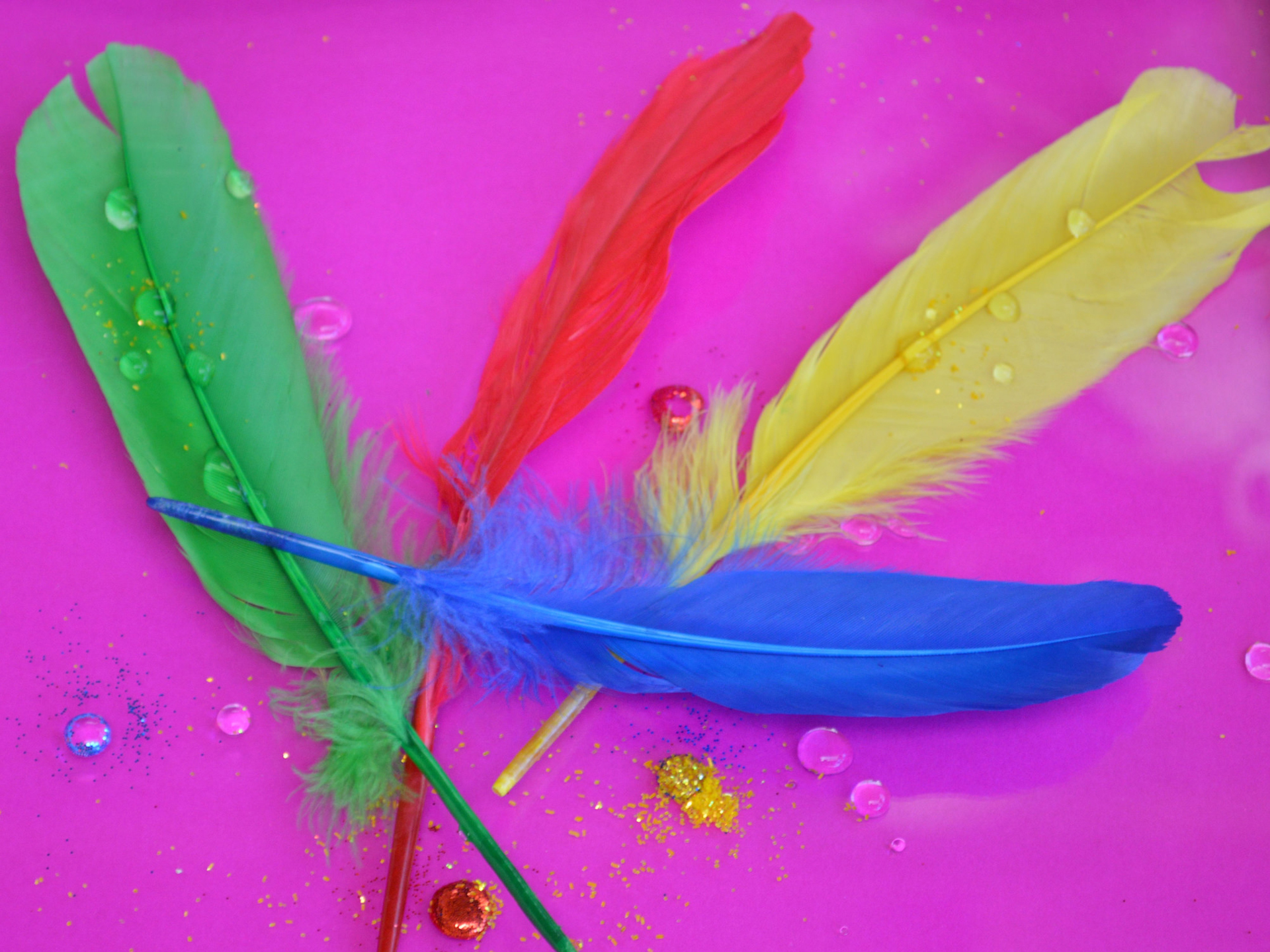 Free download wallpaper Feather, Colors, Colorful, Photography, Water Drop on your PC desktop