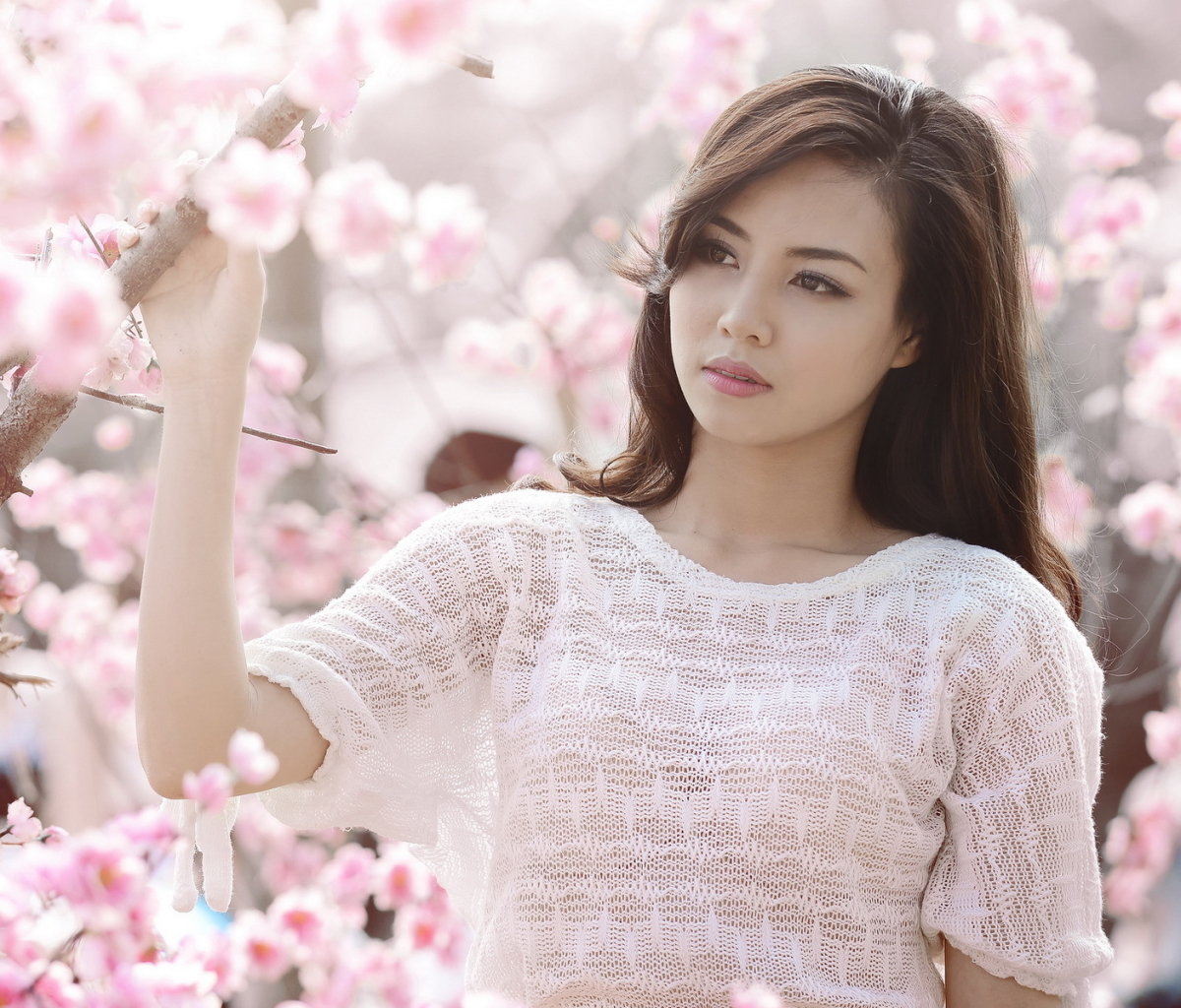 Free download wallpaper Brunette, Women, Asian, Brown Eyes, Long Hair, Sakura Blossom on your PC desktop
