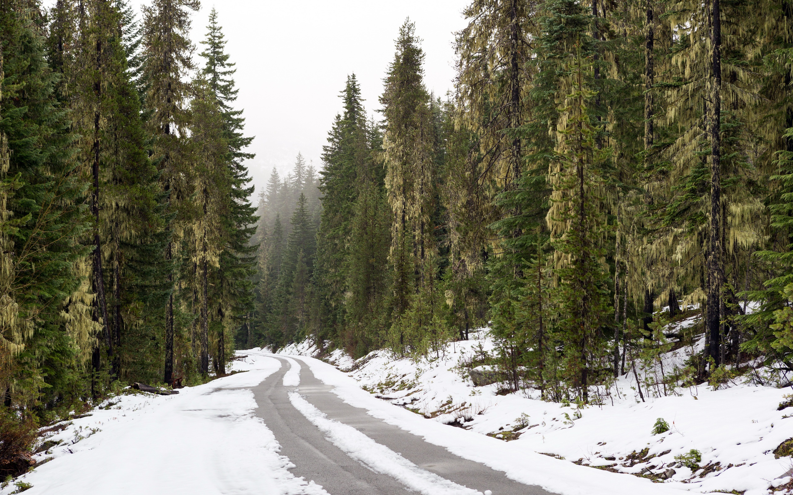 Скачать обои бесплатно Зима, Природа, Снег, Дорога, Лес, Сделано Человеком картинка на рабочий стол ПК