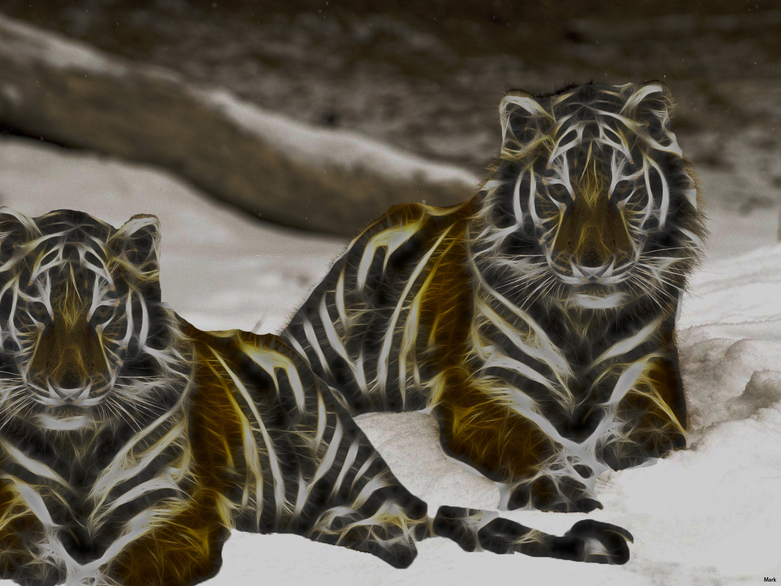 Descarga gratuita de fondo de pantalla para móvil de Animales, Tigre, Artístico.