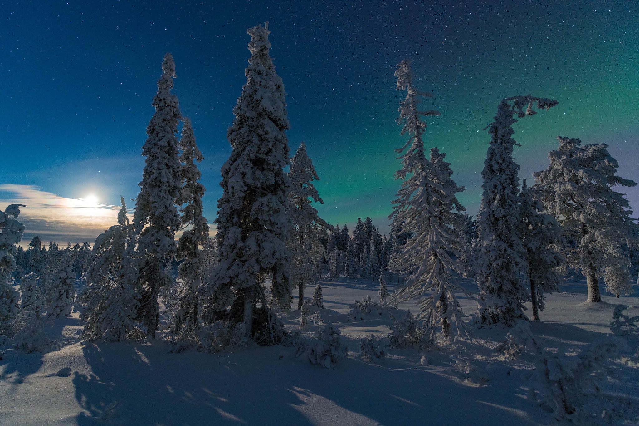 PCデスクトップに冬, 自然, 木, 雪, 地球, オーロラ, 空画像を無料でダウンロード