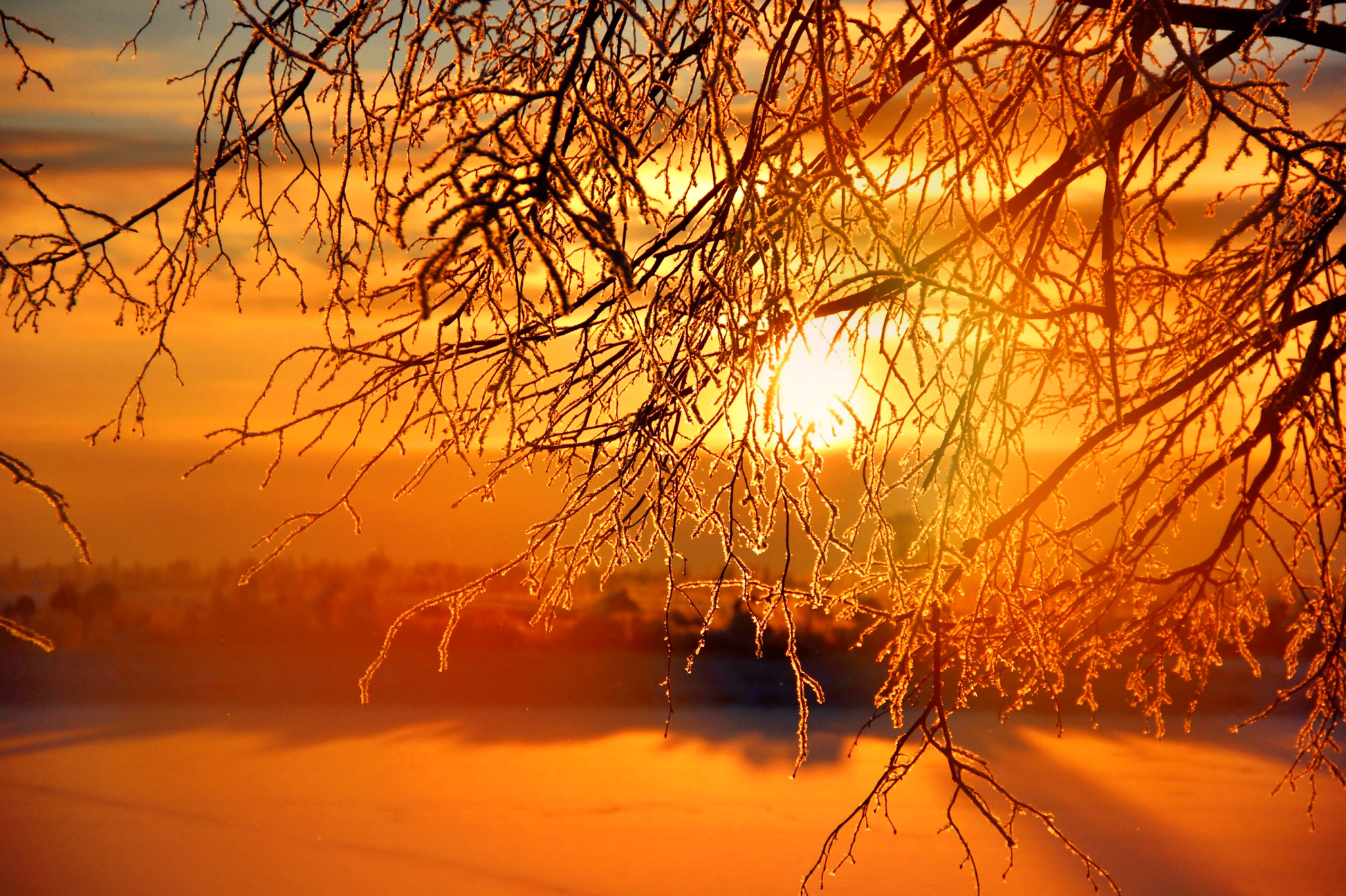 Download mobile wallpaper Winter, Nature, Sunset, Gold, Tree, Branch, Earth, Orange (Color) for free.